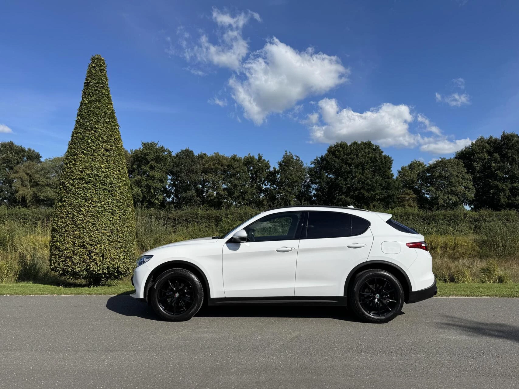 Hoofdafbeelding Alfa Romeo Stelvio