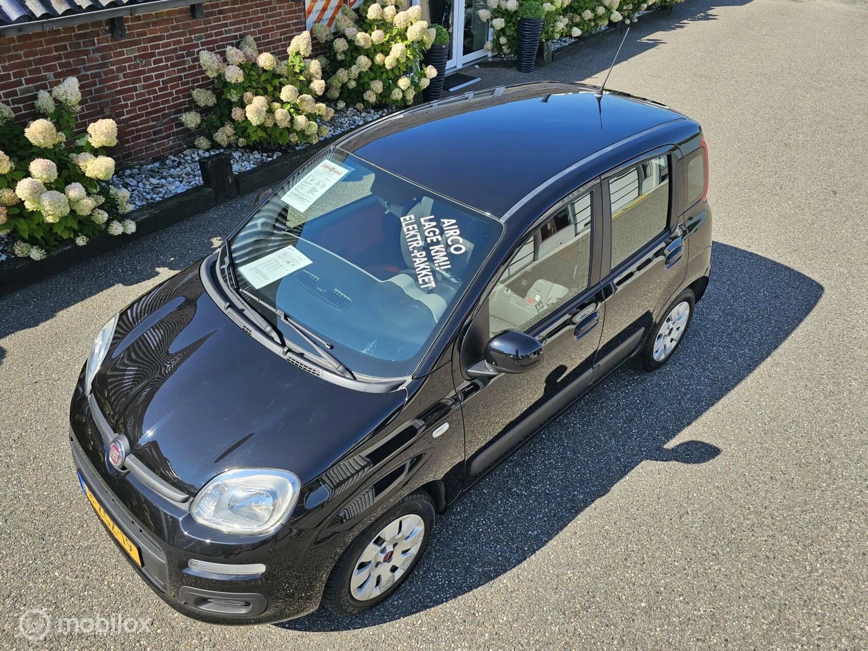 Hoofdafbeelding Fiat Panda