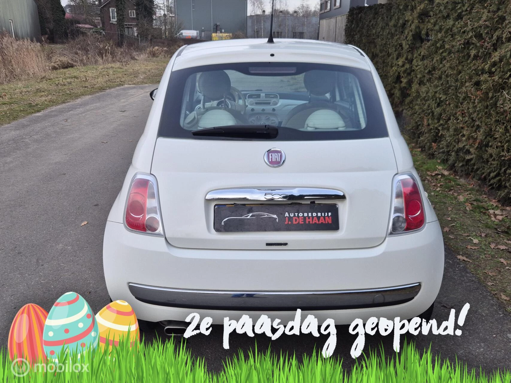 Hoofdafbeelding Fiat 500