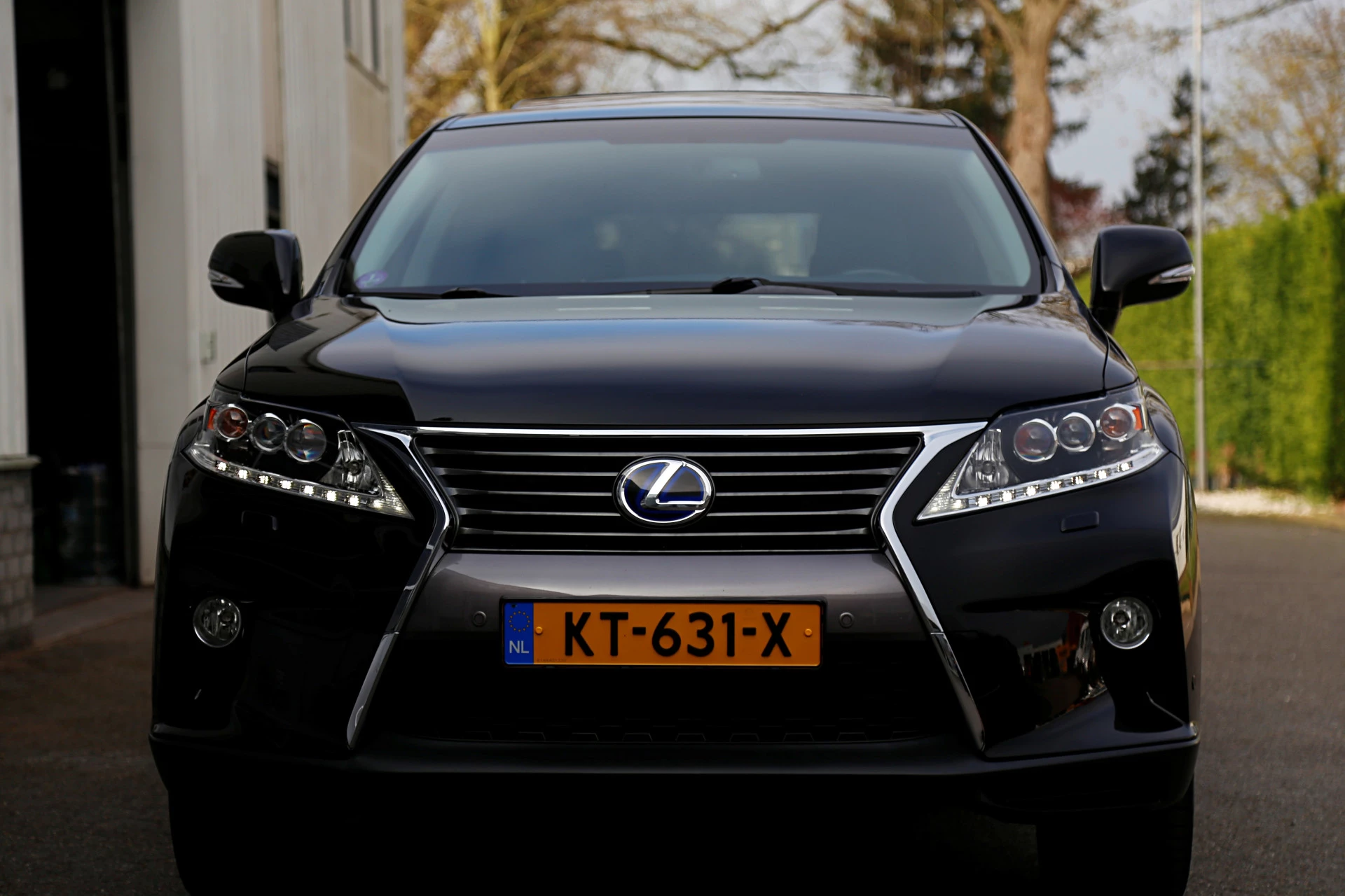 Hoofdafbeelding Lexus RX