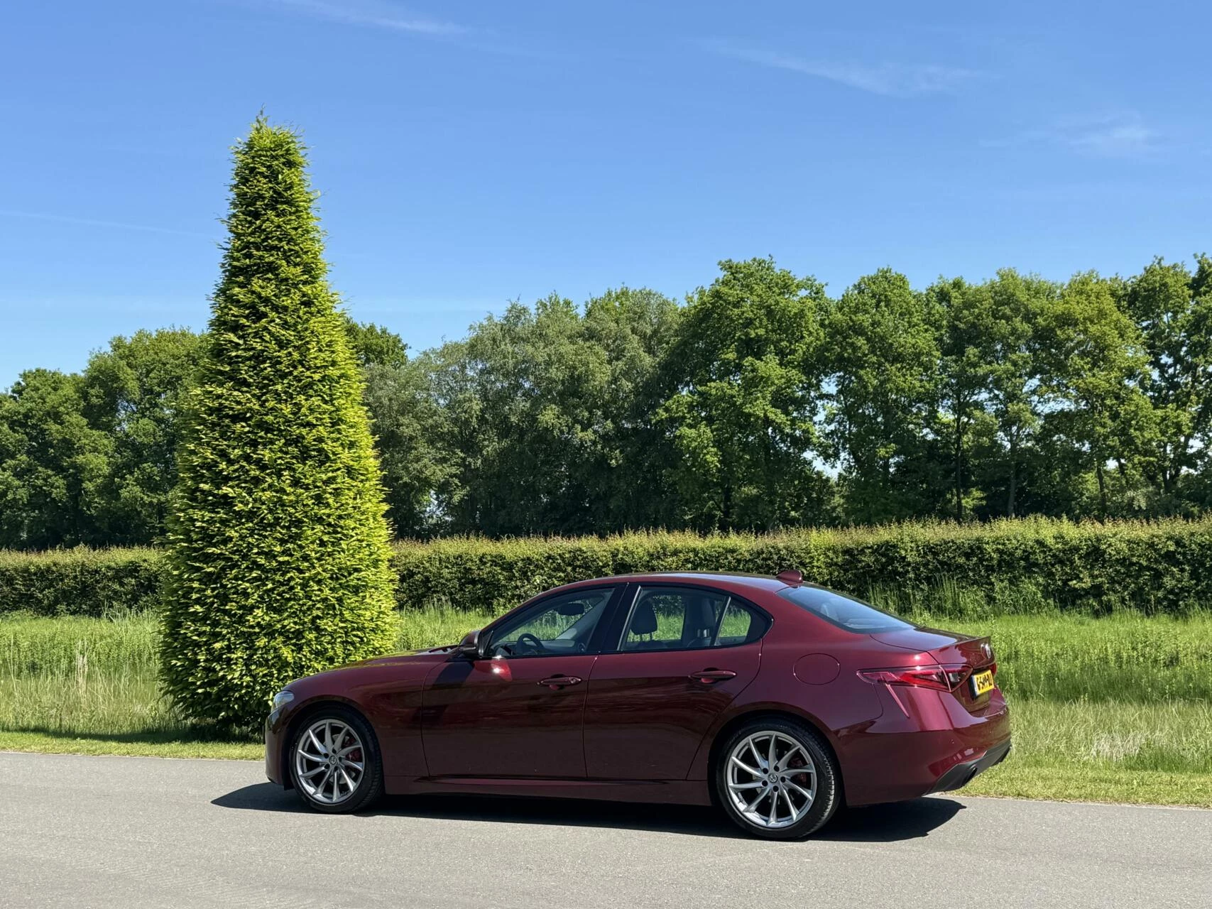 Hoofdafbeelding Alfa Romeo Giulia