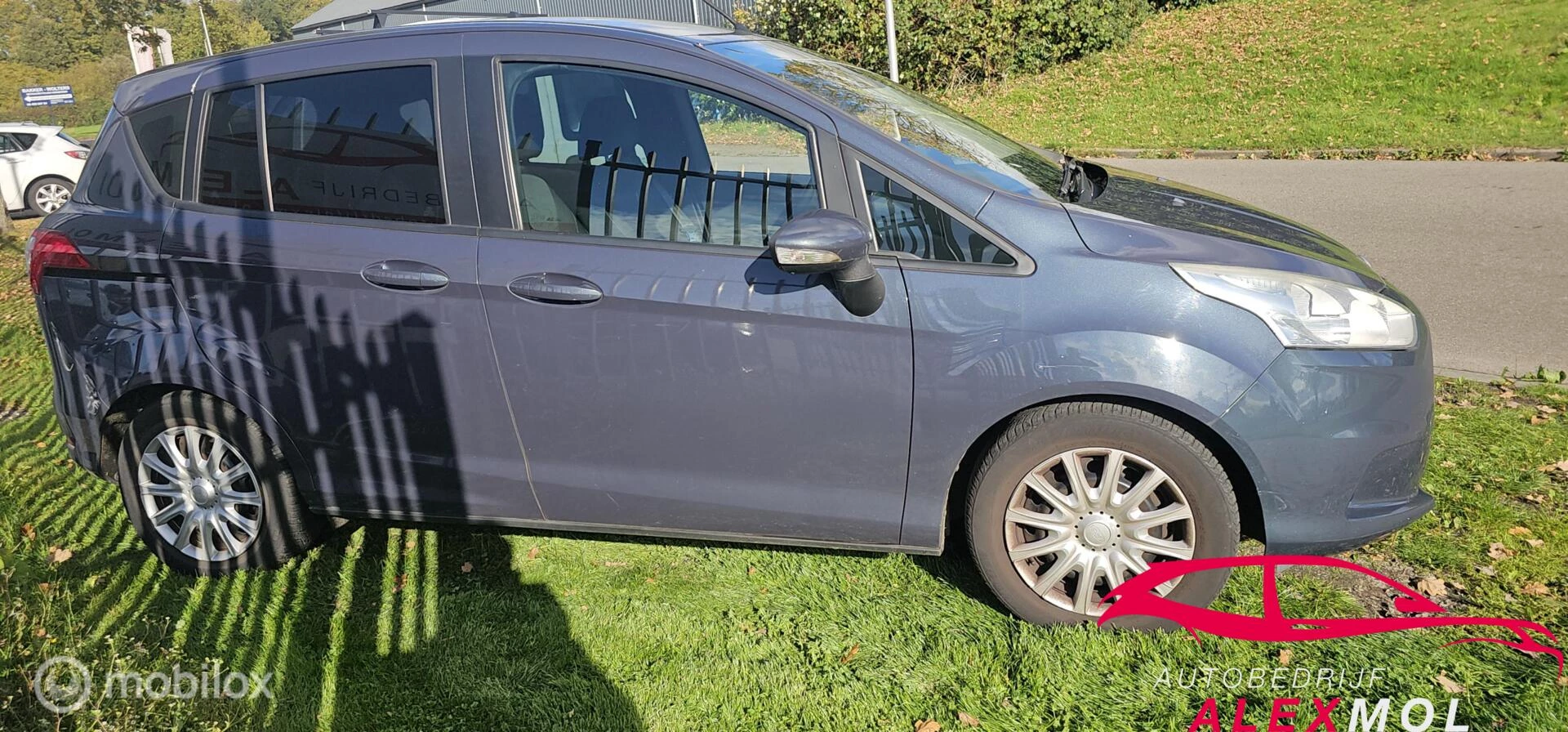 Hoofdafbeelding Ford B-MAX