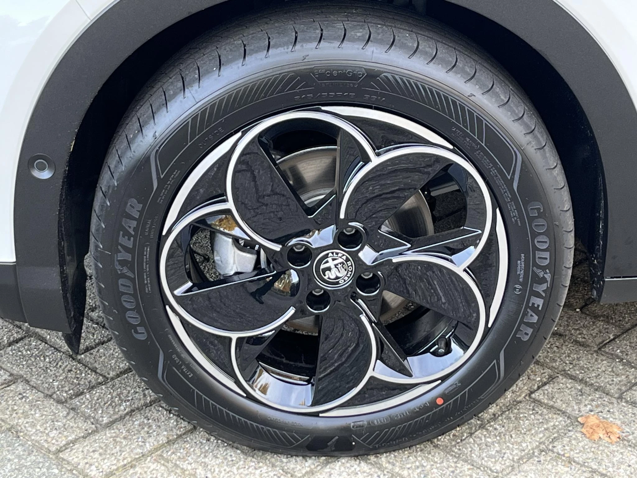 Hoofdafbeelding Alfa Romeo Junior