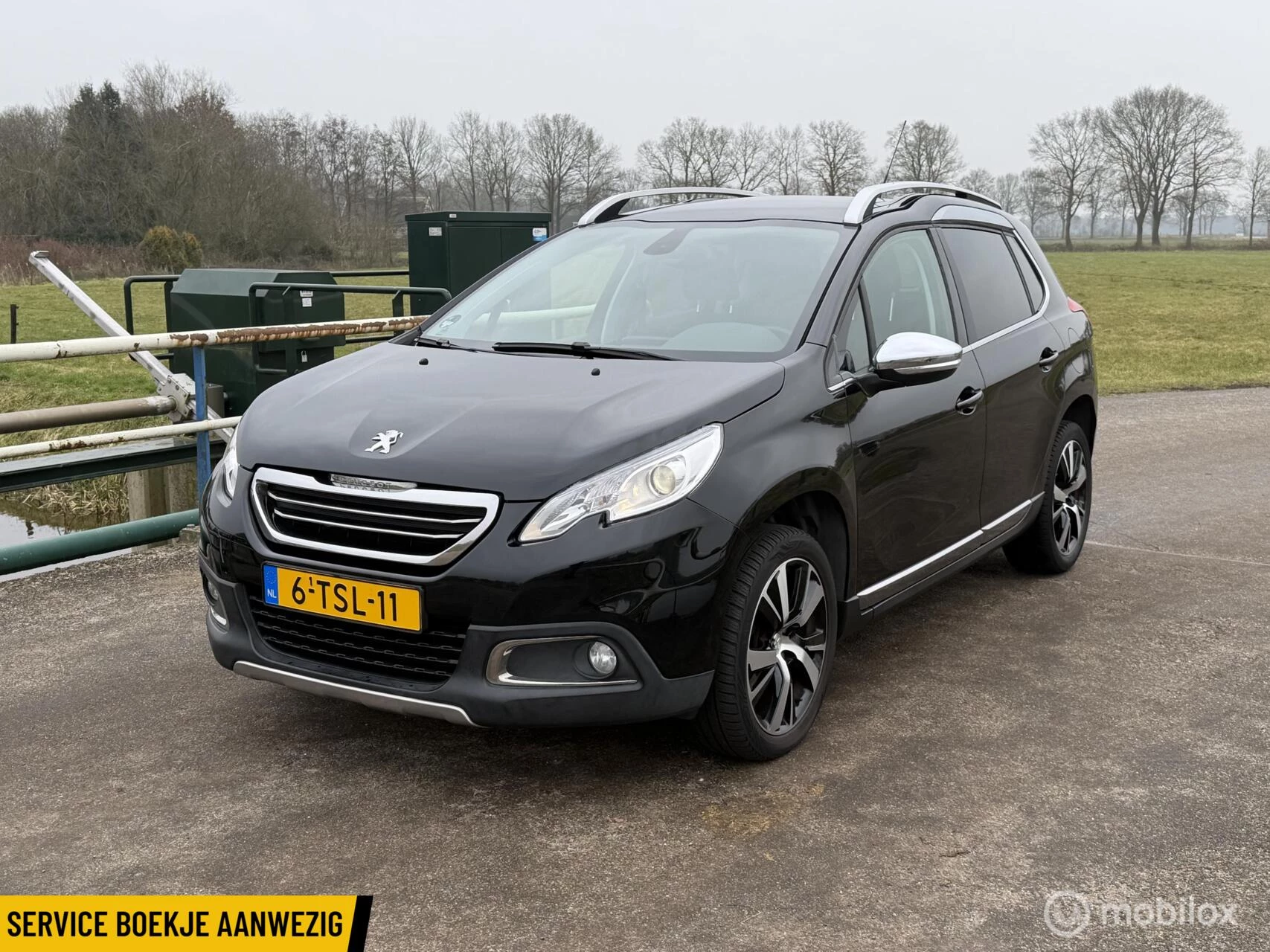 Hoofdafbeelding Peugeot 2008