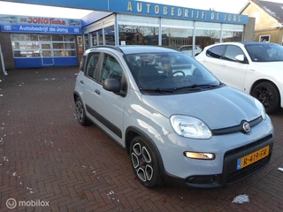 Hoofdafbeelding Fiat Panda Fiat Panda 1.0 Hybrid 70 MT6 City Life CARPLAY