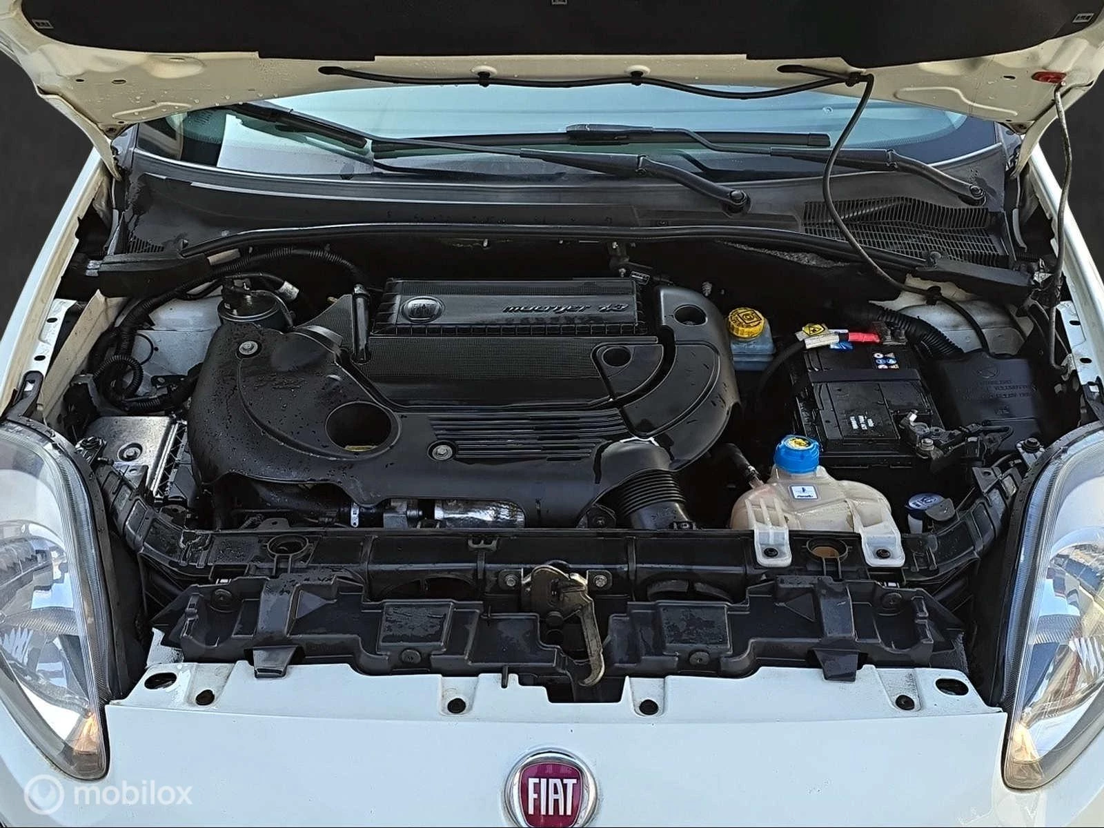 Hoofdafbeelding Fiat Punto