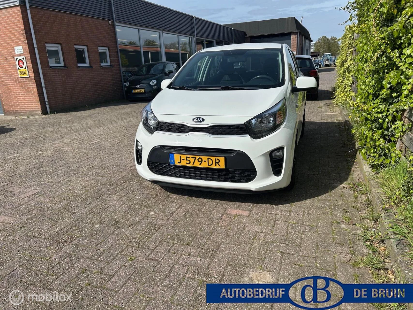 Hoofdafbeelding Kia Picanto