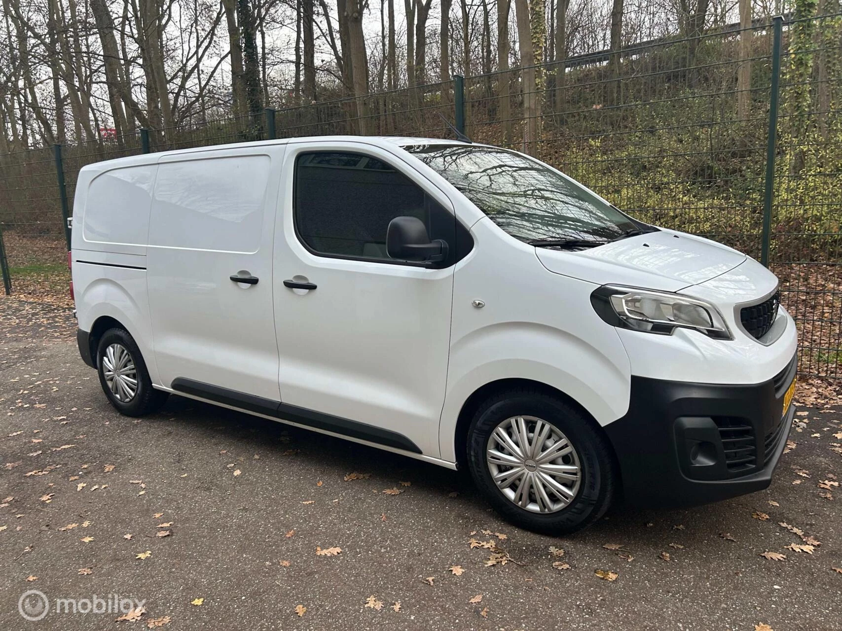 Hoofdafbeelding Peugeot Expert