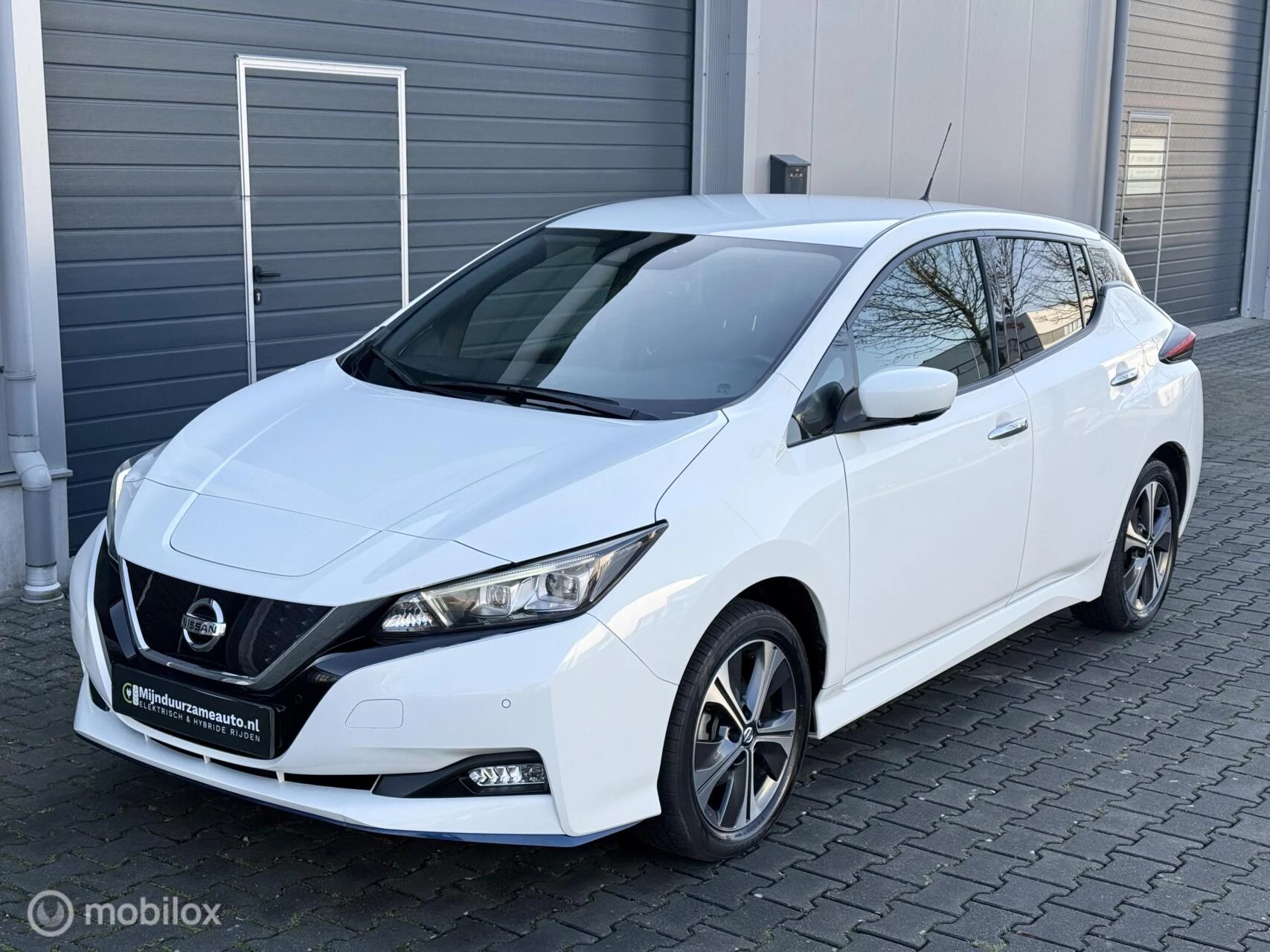 Hoofdafbeelding Nissan Leaf