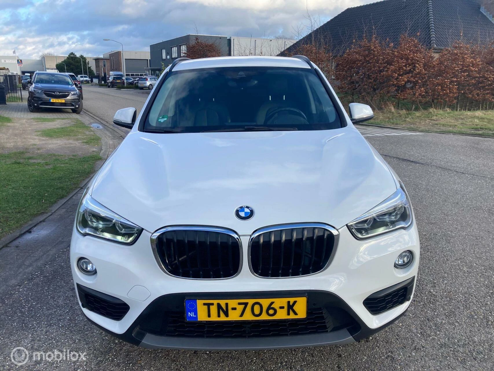 Hoofdafbeelding BMW X1