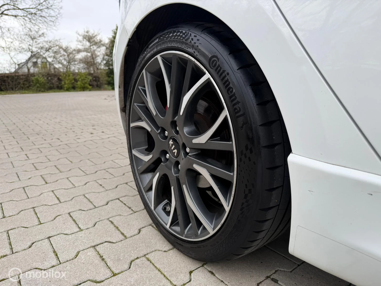 Hoofdafbeelding Kia cee'd