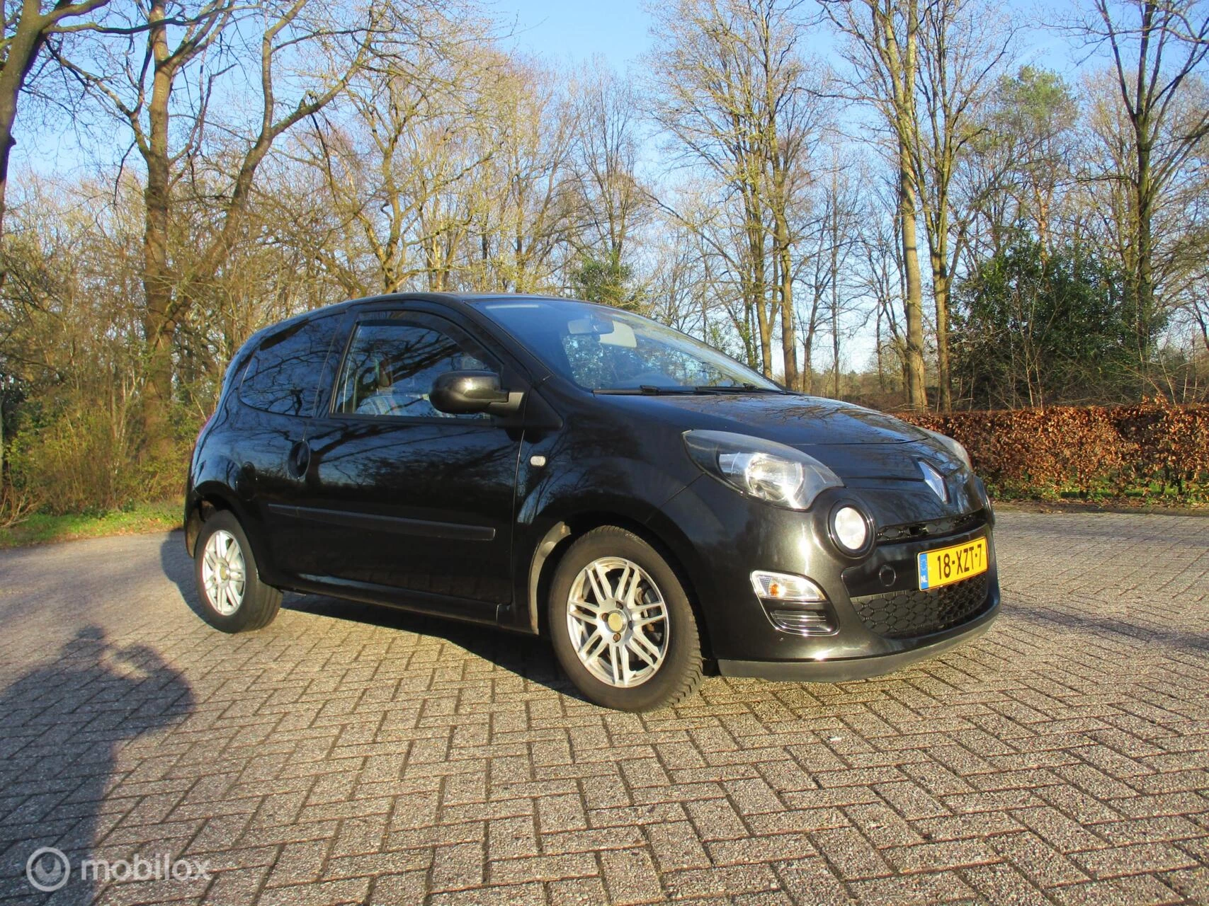 Hoofdafbeelding Renault Twingo