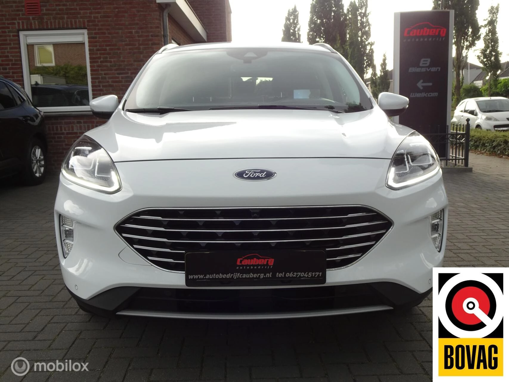 Hoofdafbeelding Ford Kuga