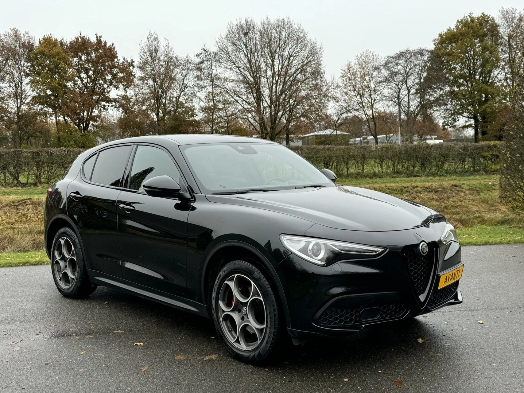 Hoofdafbeelding Alfa Romeo Stelvio