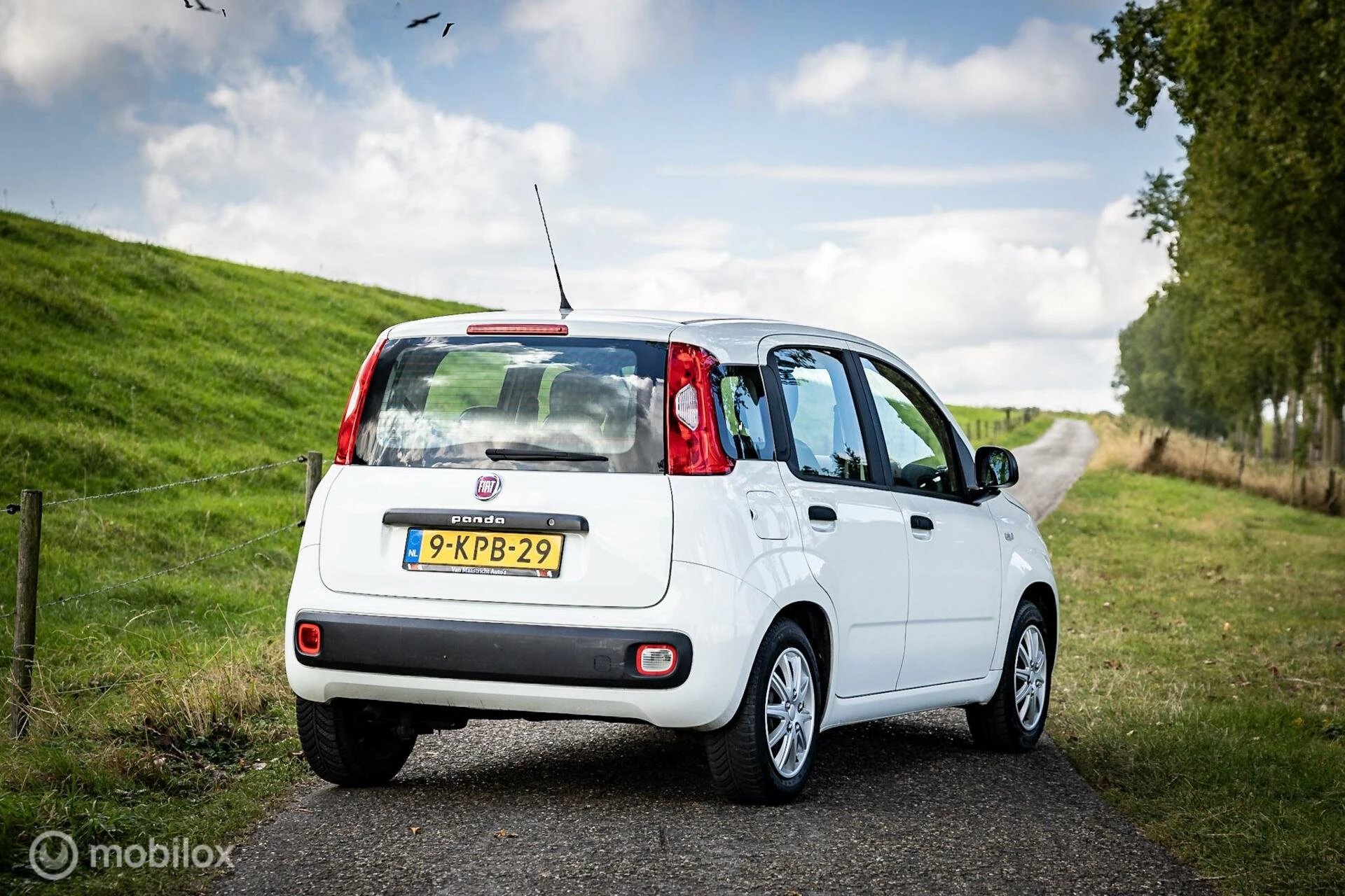 Hoofdafbeelding Fiat Panda