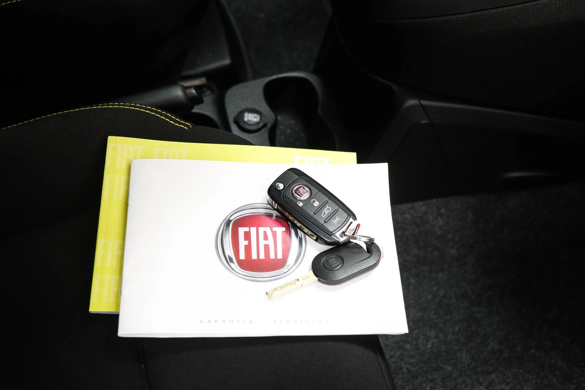 Hoofdafbeelding Fiat Pandina