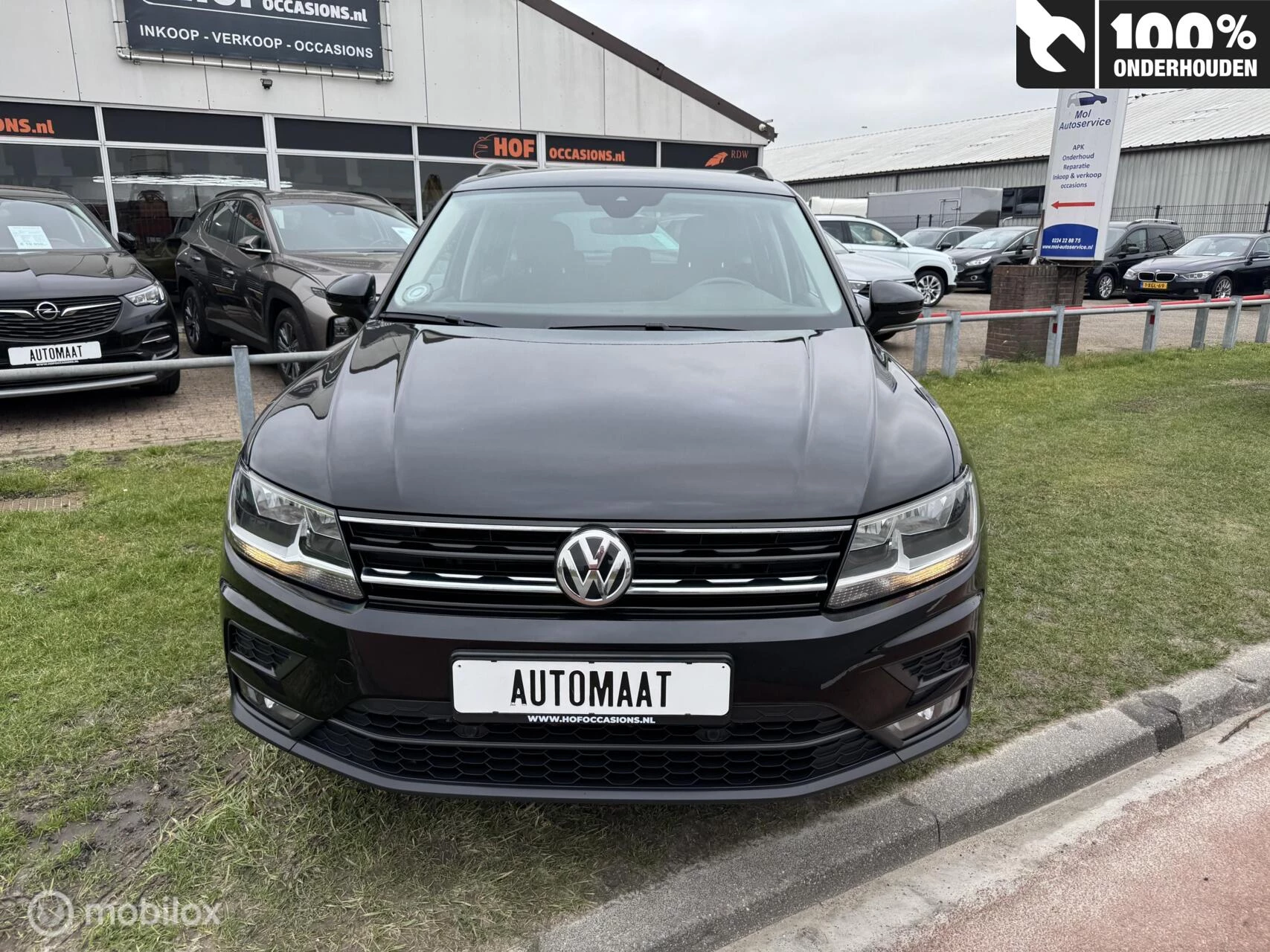 Hoofdafbeelding Volkswagen Tiguan