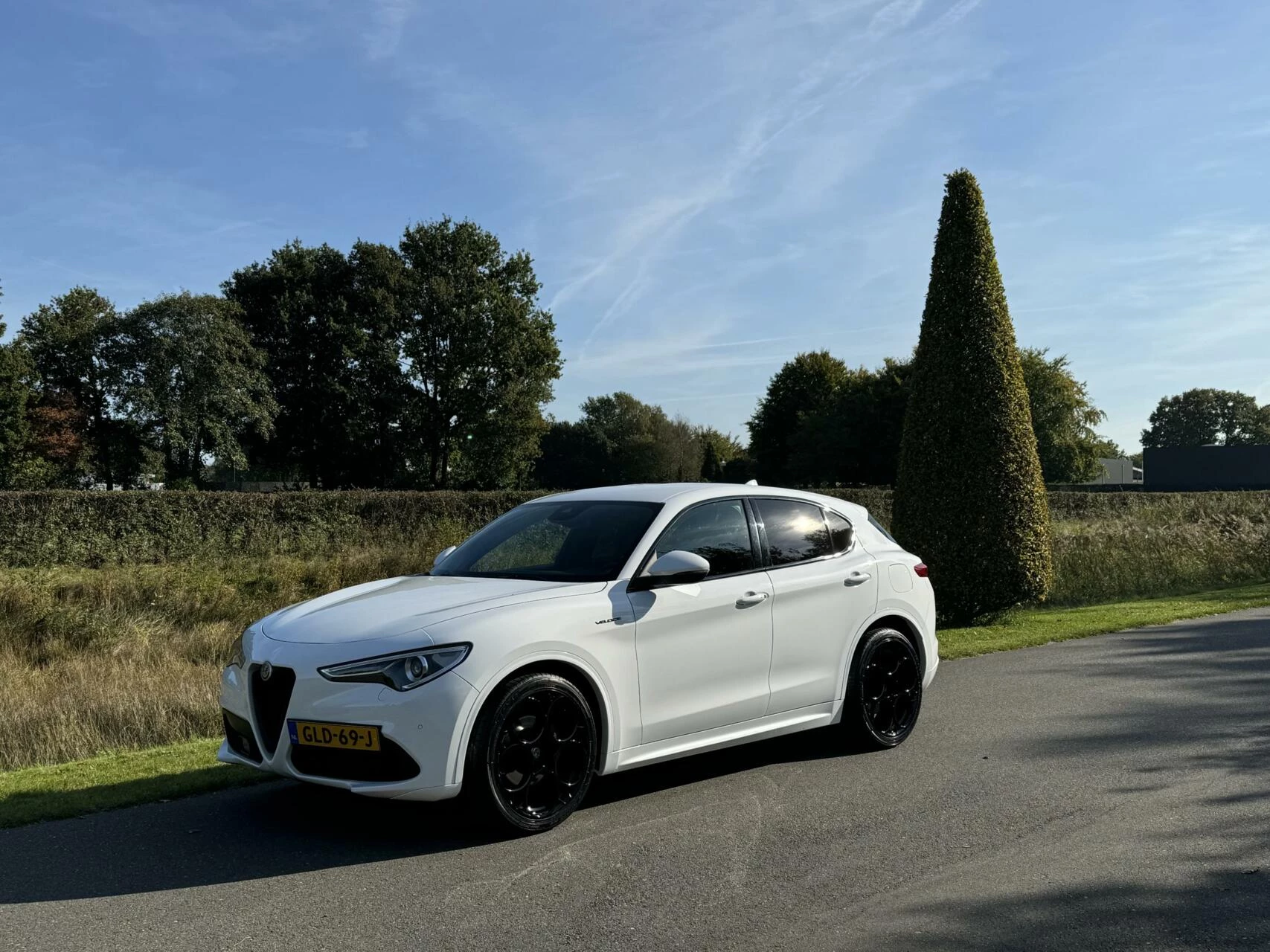 Hoofdafbeelding Alfa Romeo Stelvio