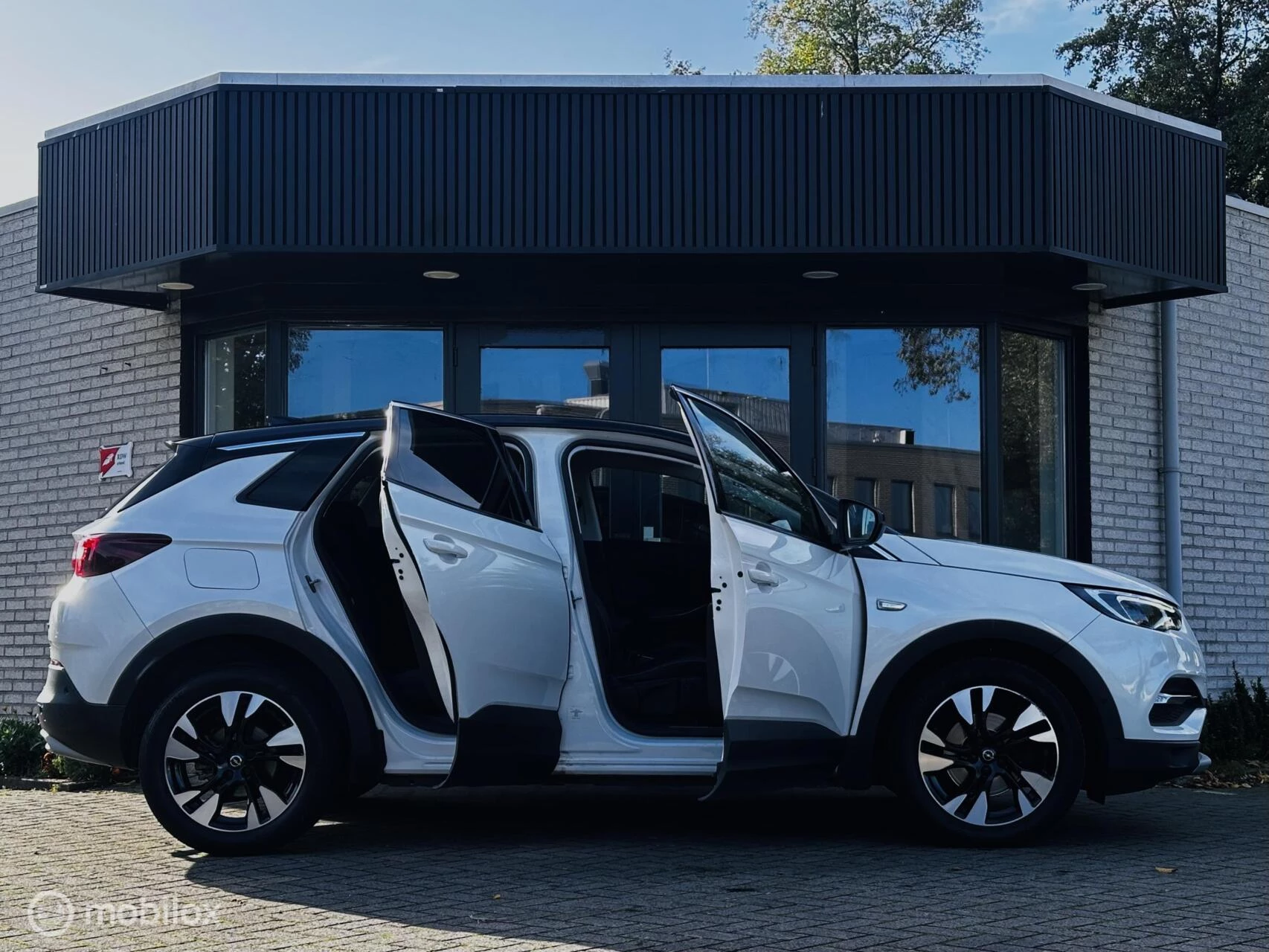 Hoofdafbeelding Opel Grandland X