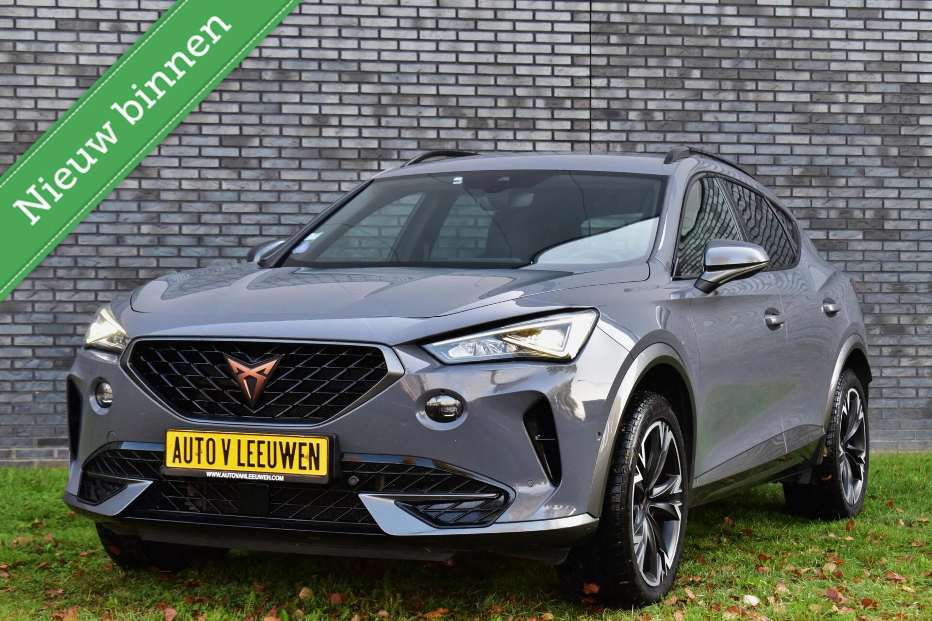 Hoofdafbeelding CUPRA Formentor