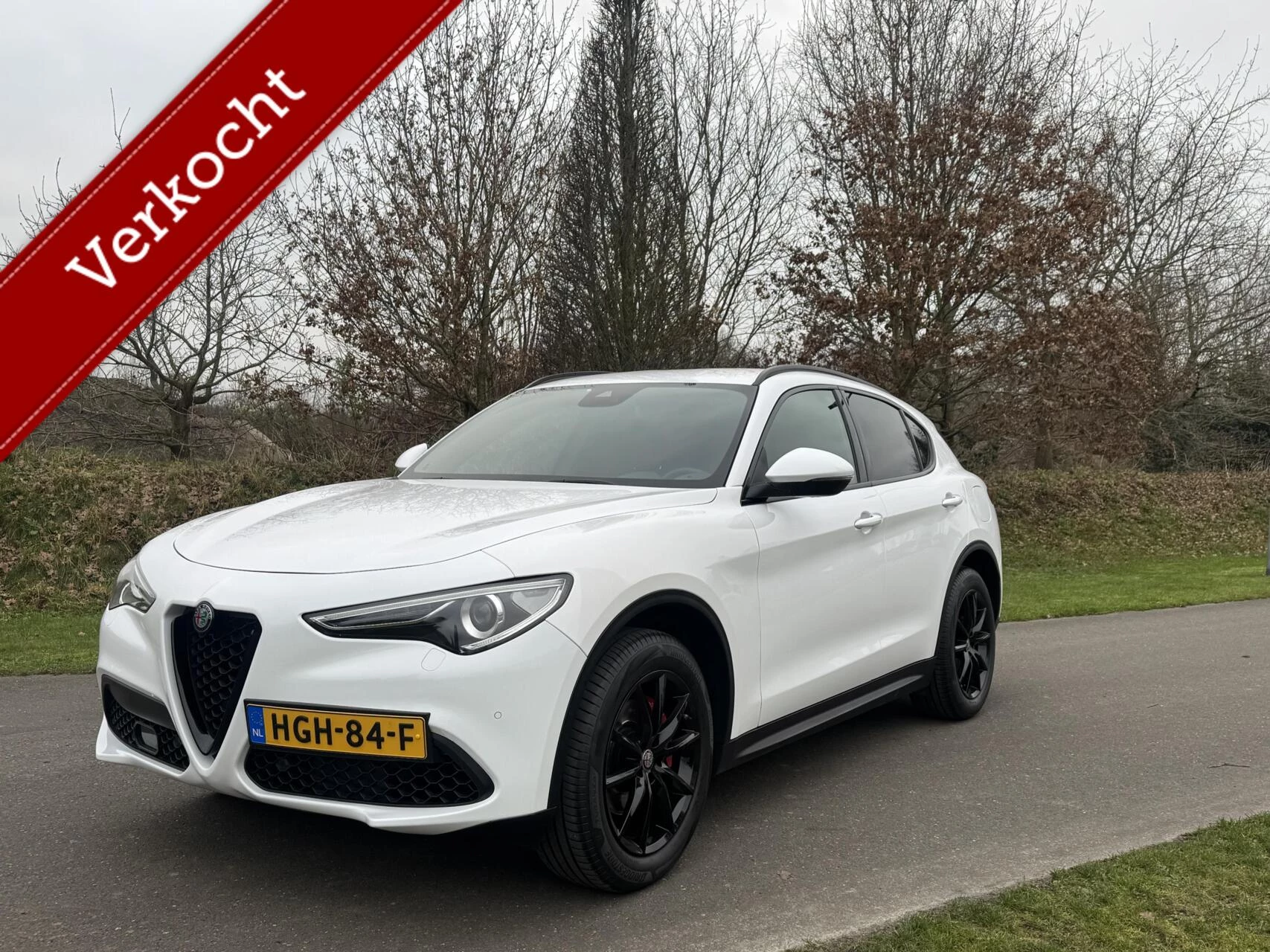 Hoofdafbeelding Alfa Romeo Stelvio