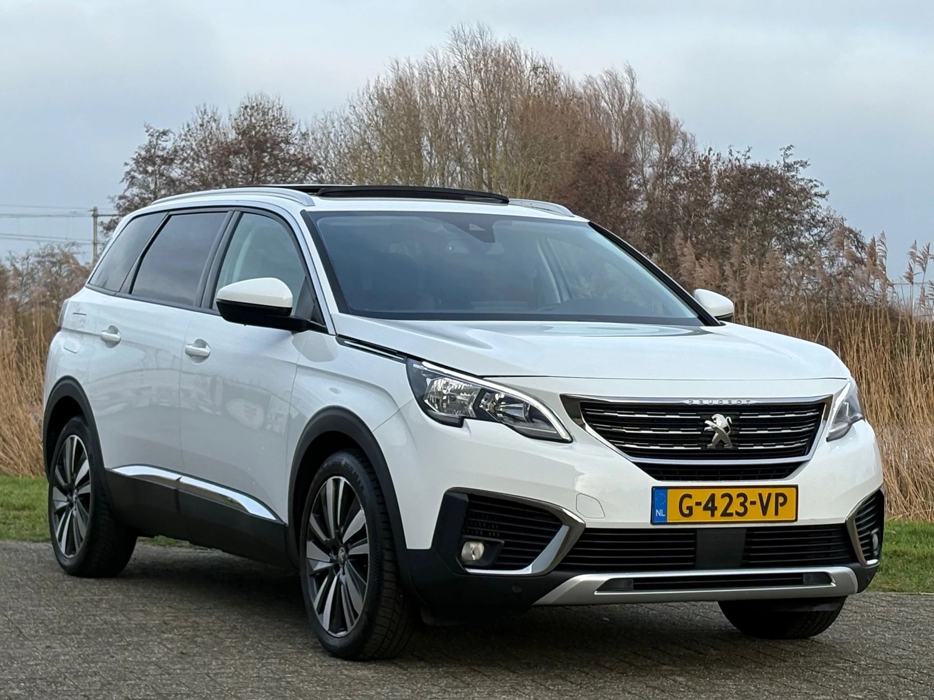 Hoofdafbeelding Peugeot 5008