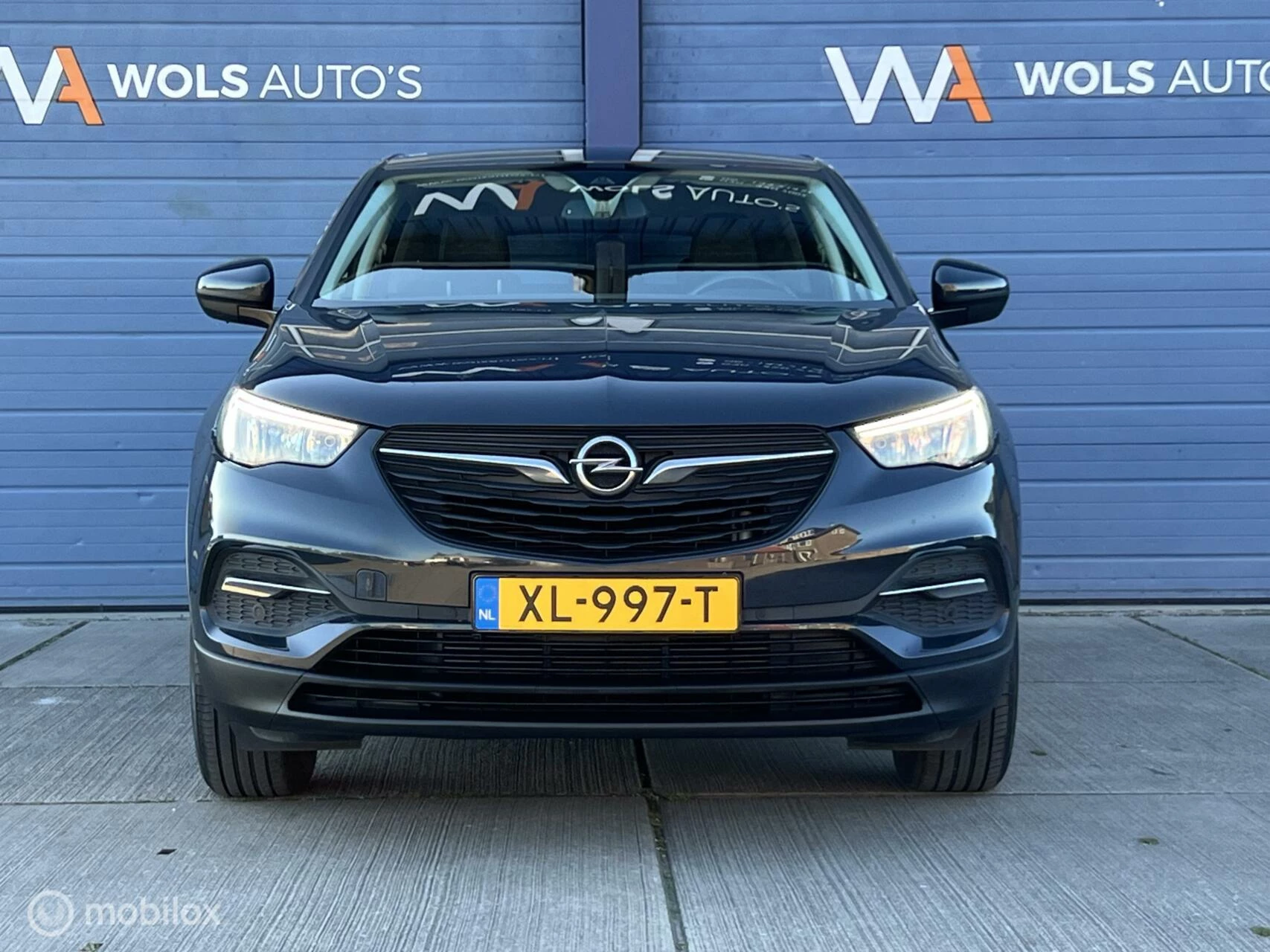 Hoofdafbeelding Opel Grandland X