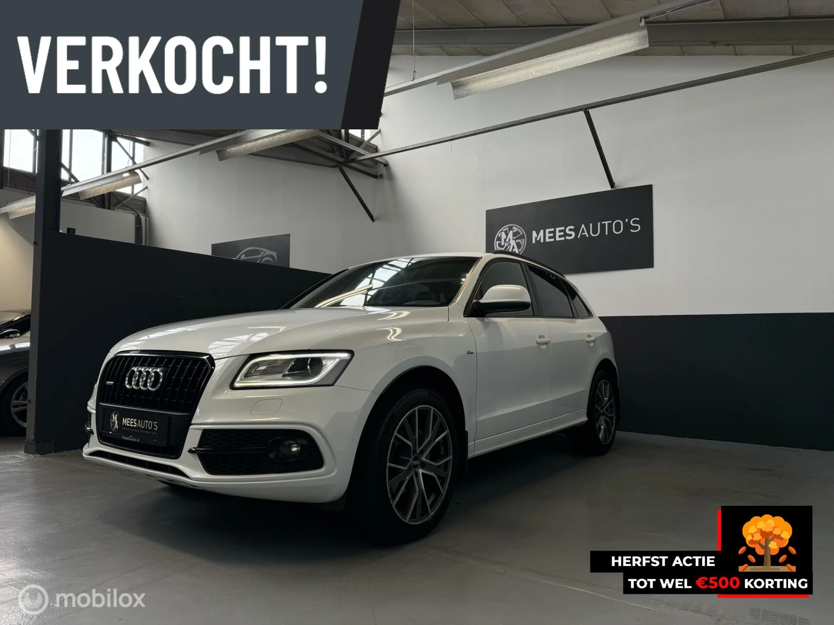 Hoofdafbeelding Audi Q5