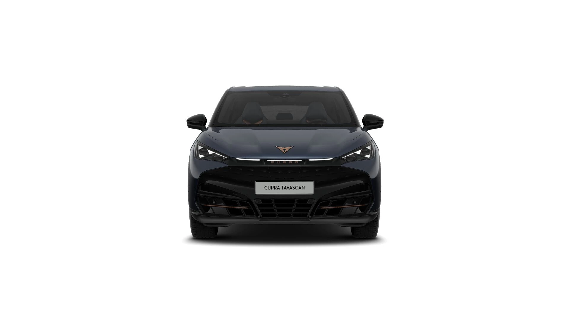 Hoofdafbeelding CUPRA Tavascan