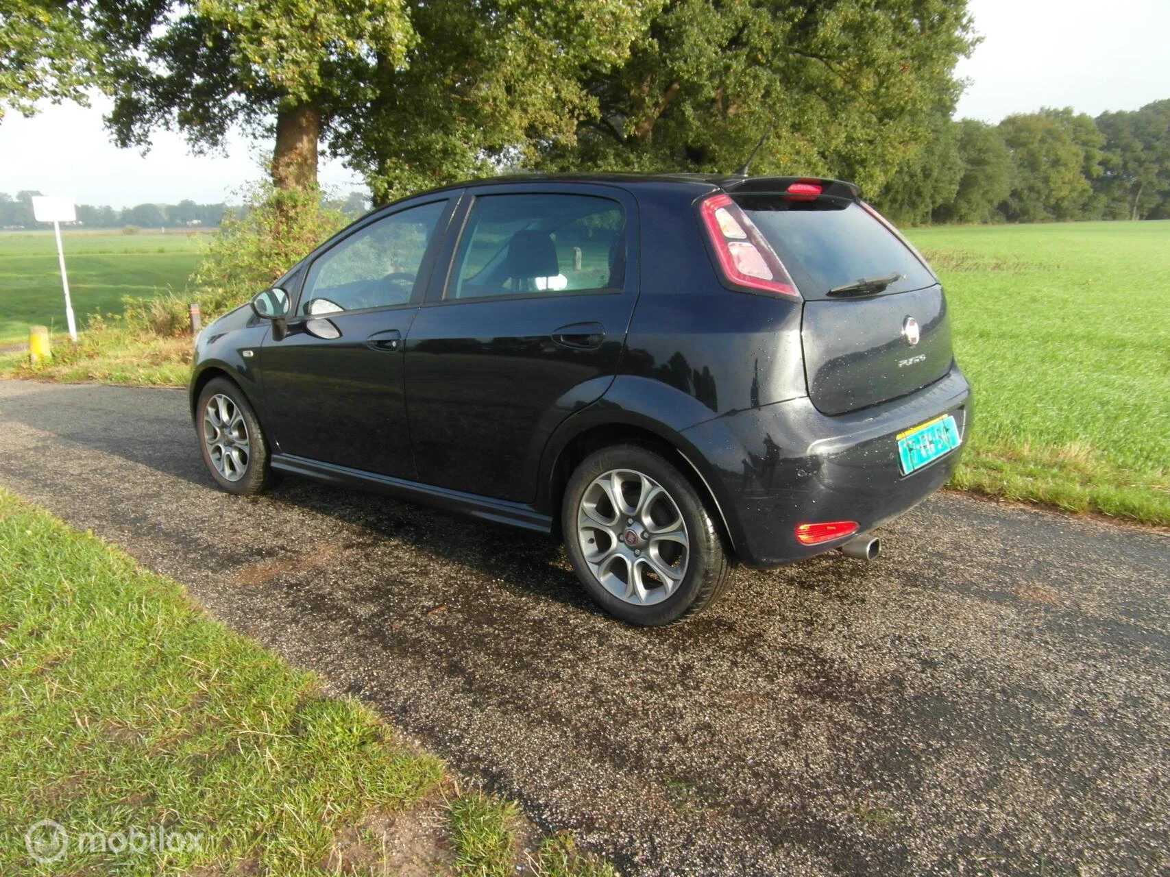 Hoofdafbeelding Fiat Punto