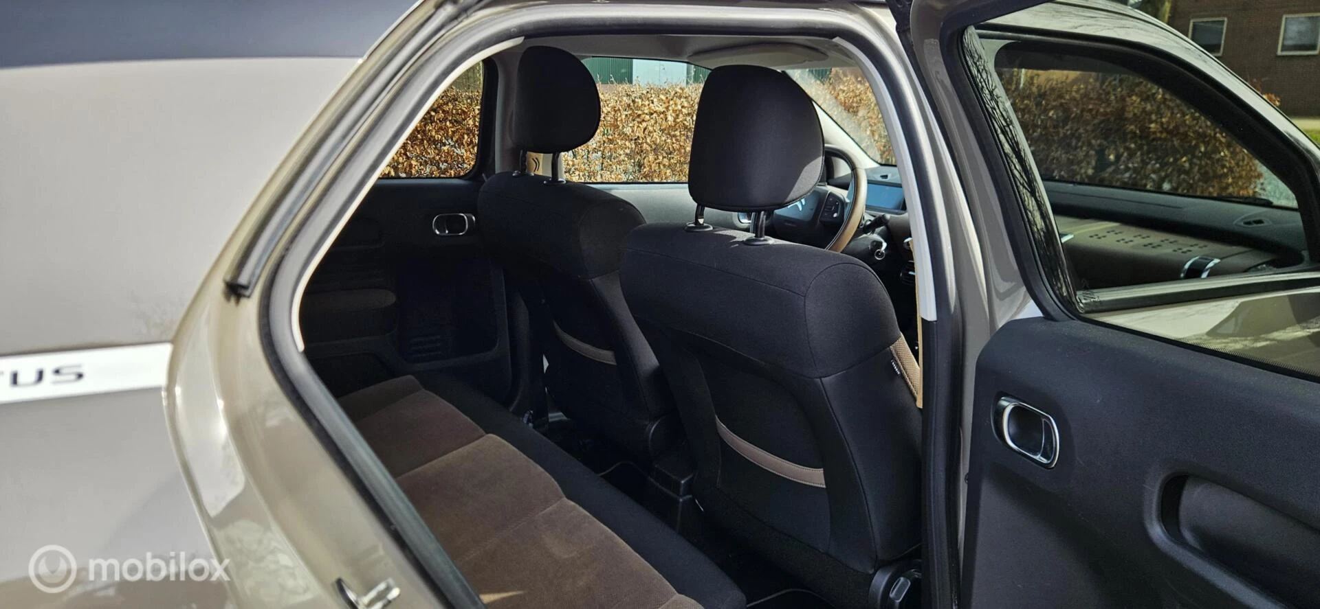 Hoofdafbeelding Citroën C4 Cactus