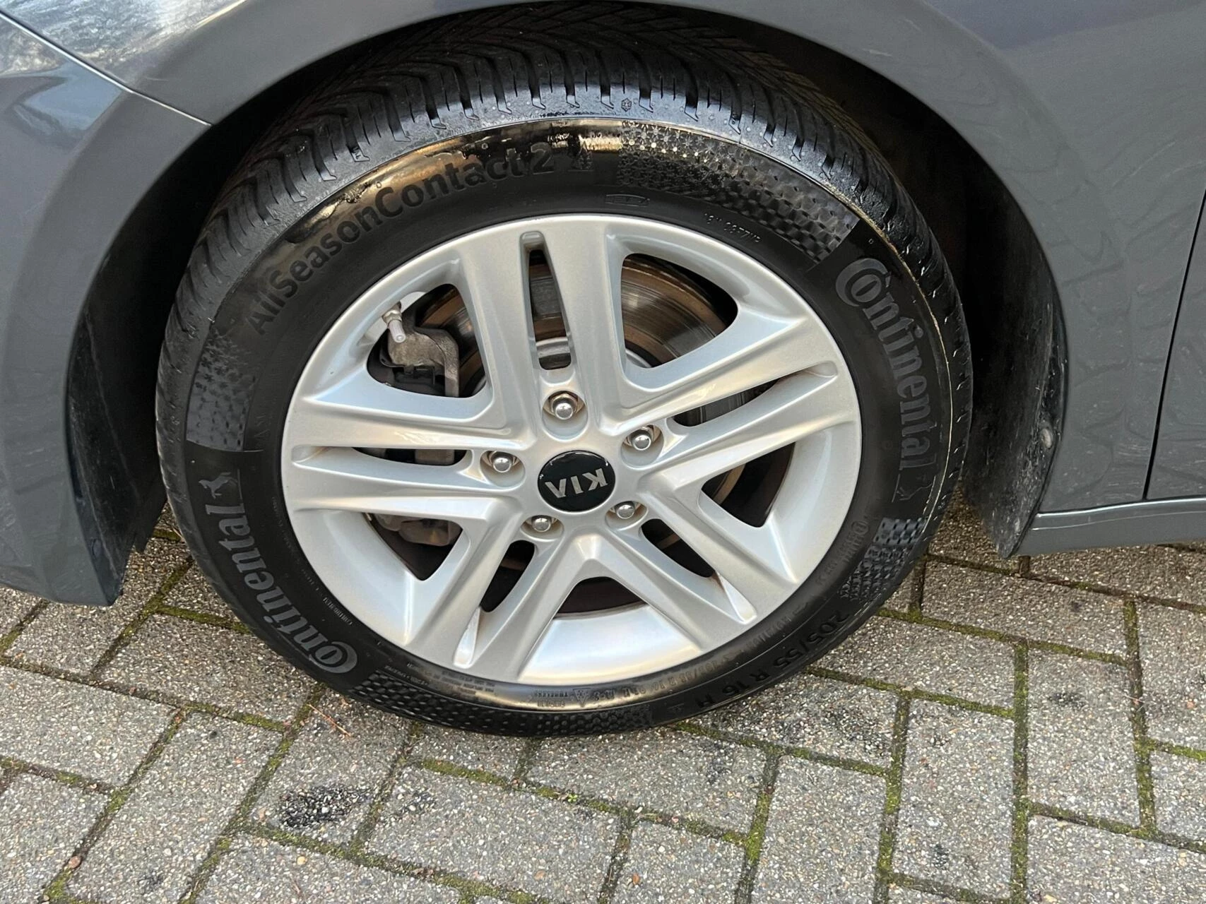 Hoofdafbeelding Kia Ceed