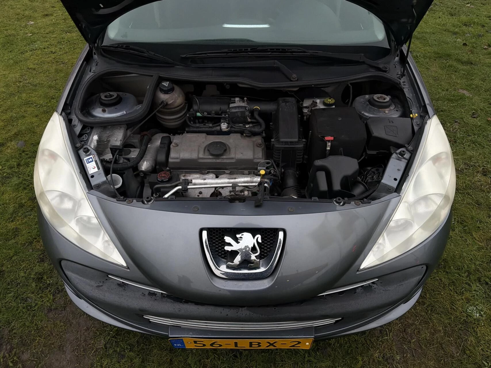 Hoofdafbeelding Peugeot 206
