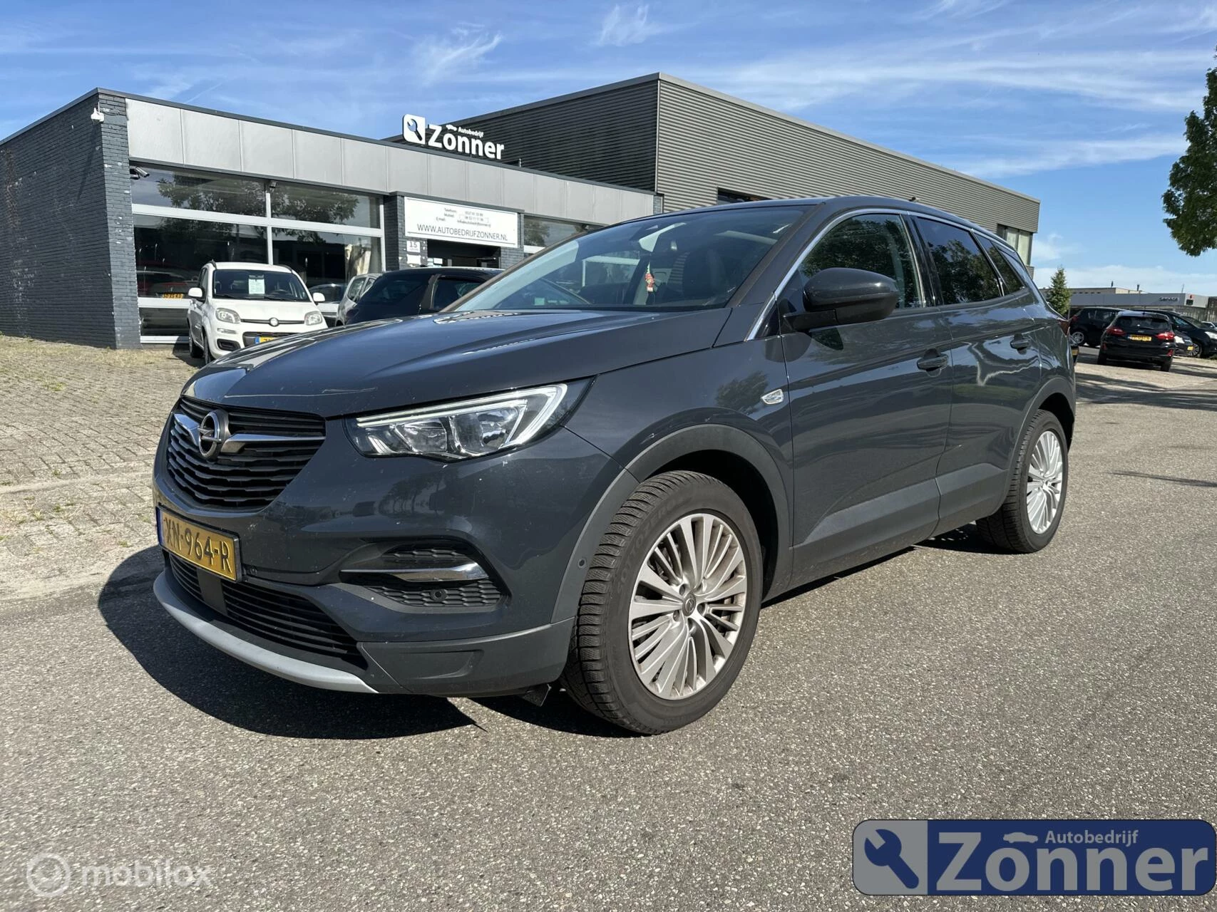 Hoofdafbeelding Opel Grandland X