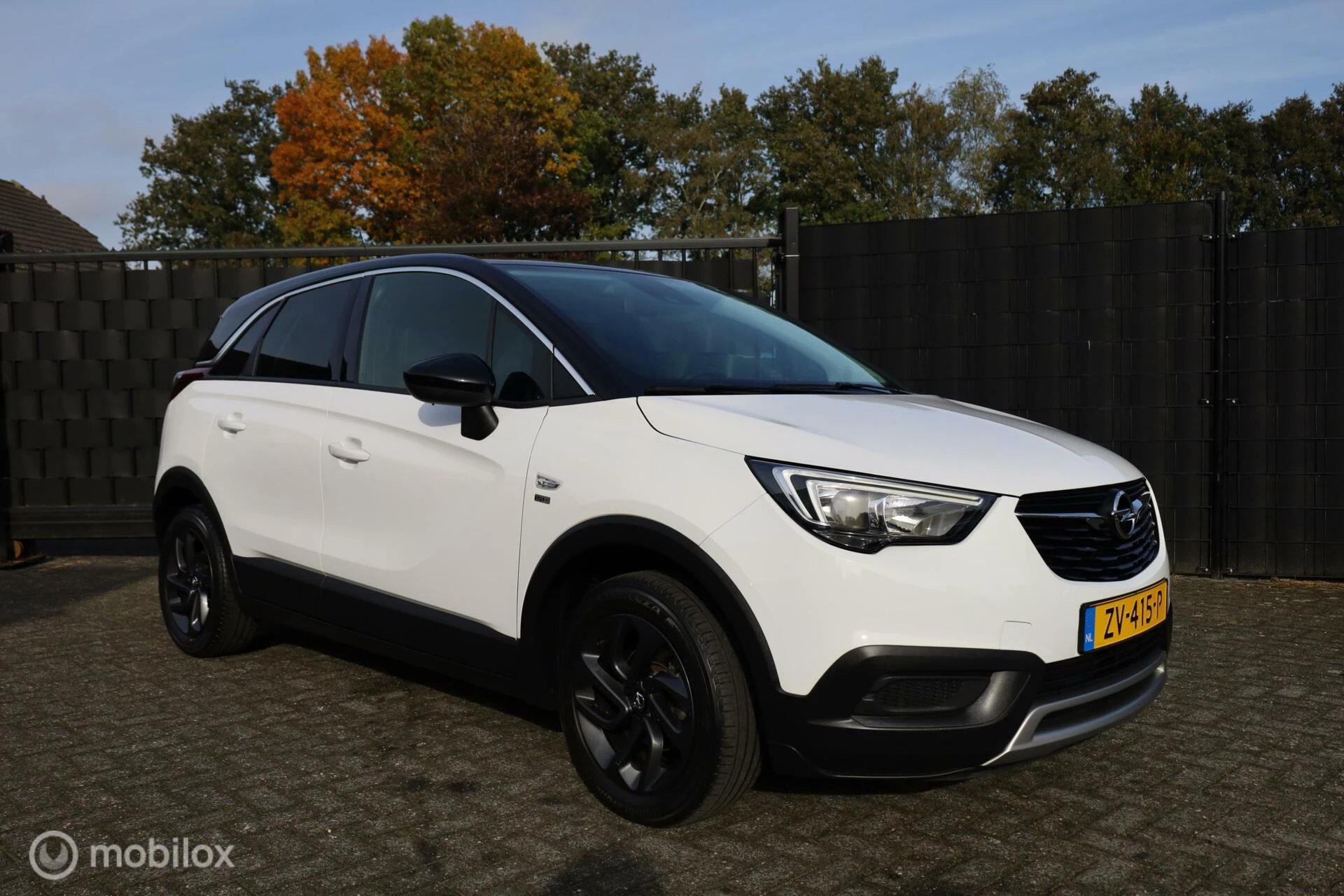 Hoofdafbeelding Opel Crossland X