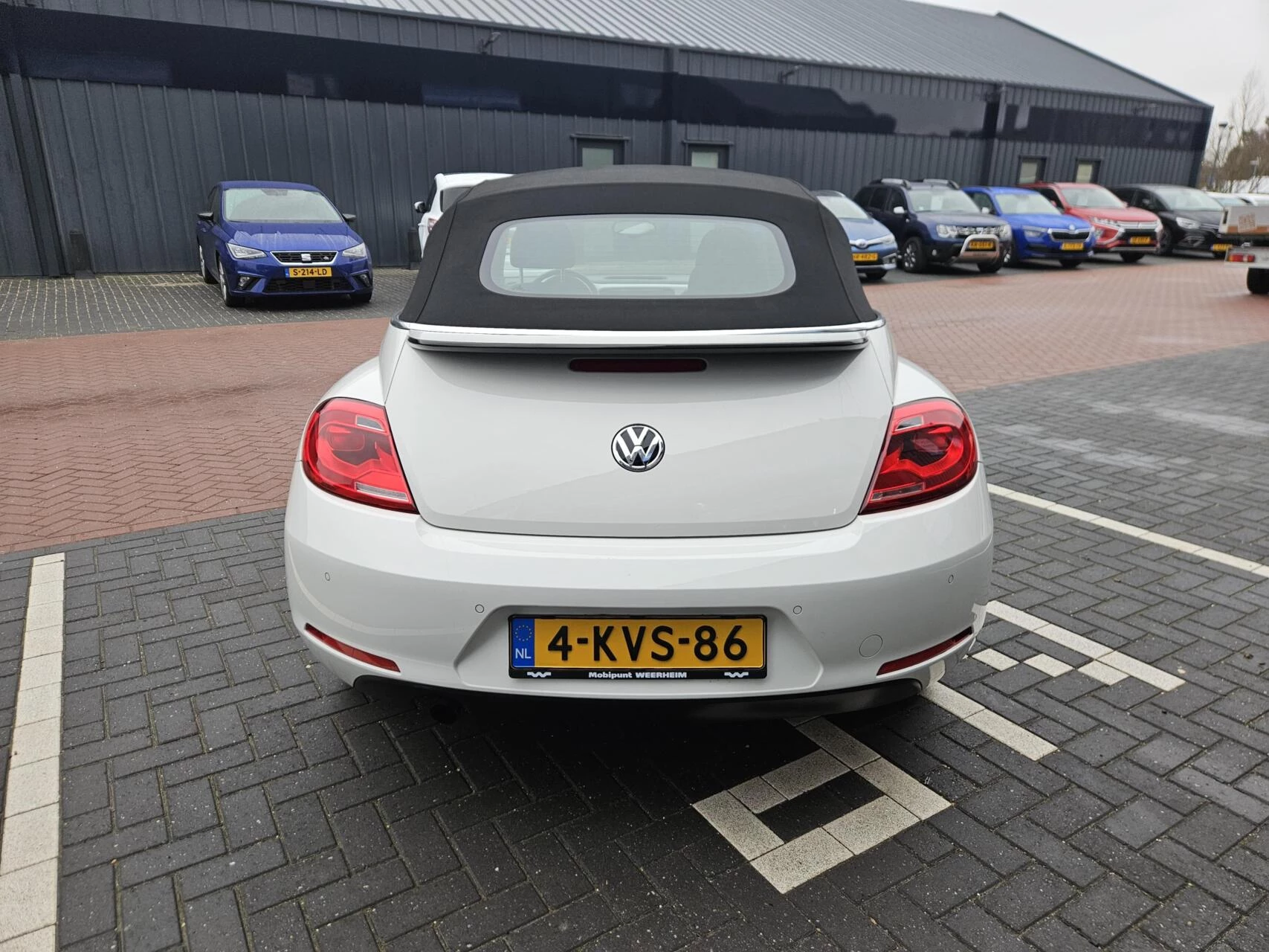 Hoofdafbeelding Volkswagen Beetle