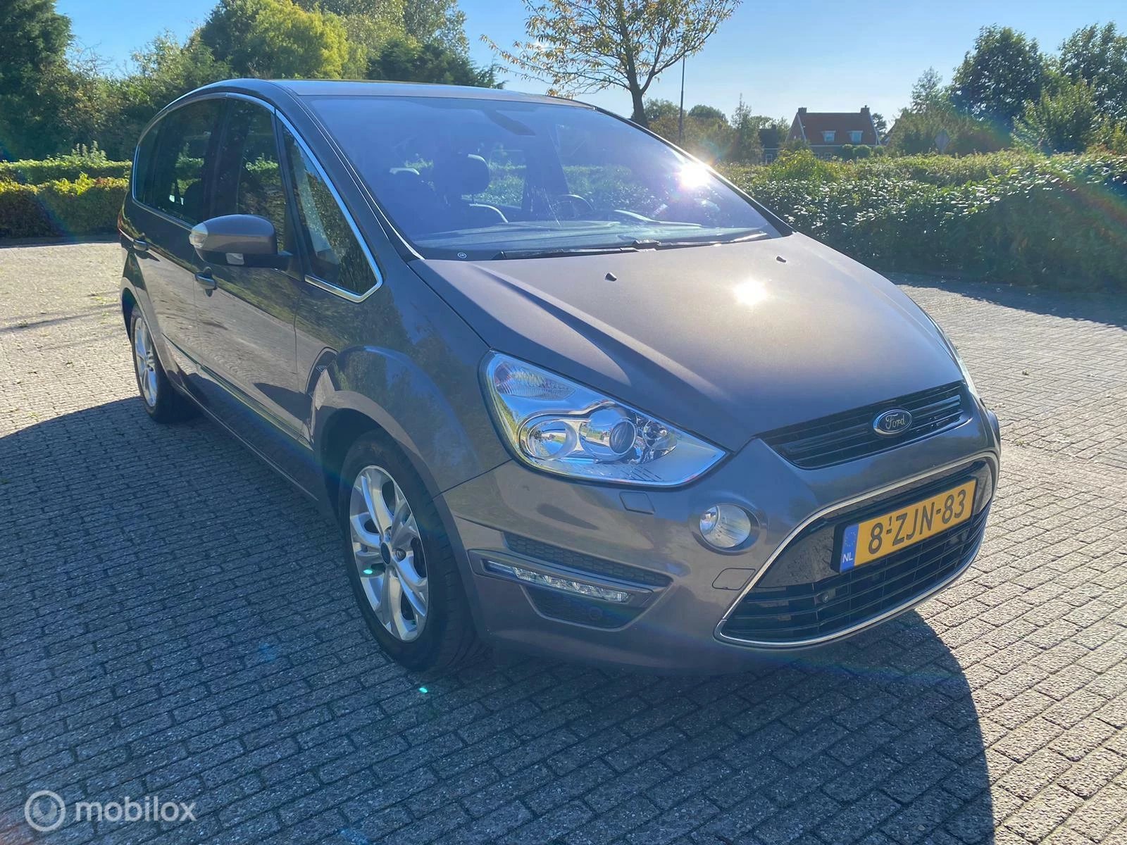 Hoofdafbeelding Ford S-Max