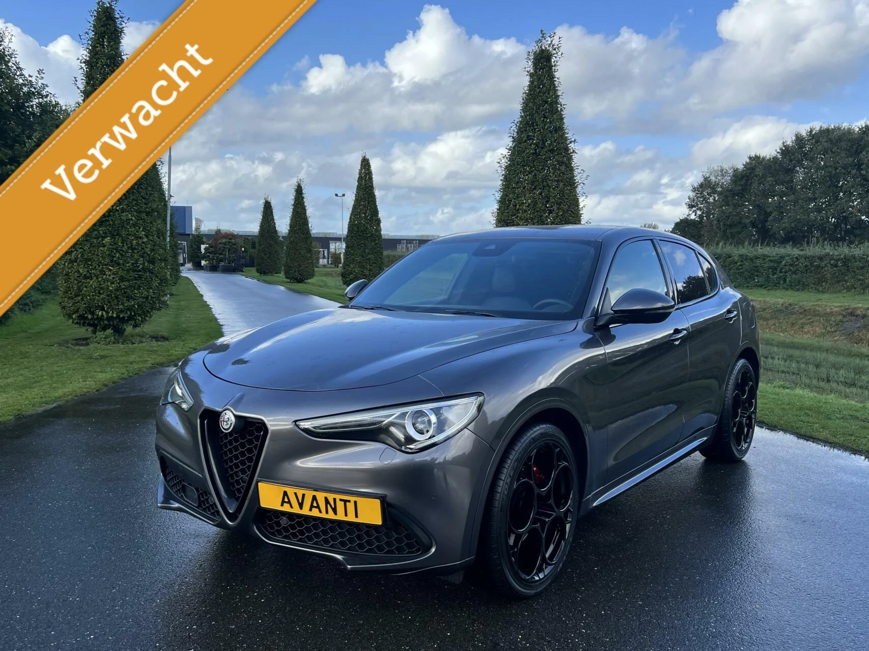 Hoofdafbeelding Alfa Romeo Stelvio