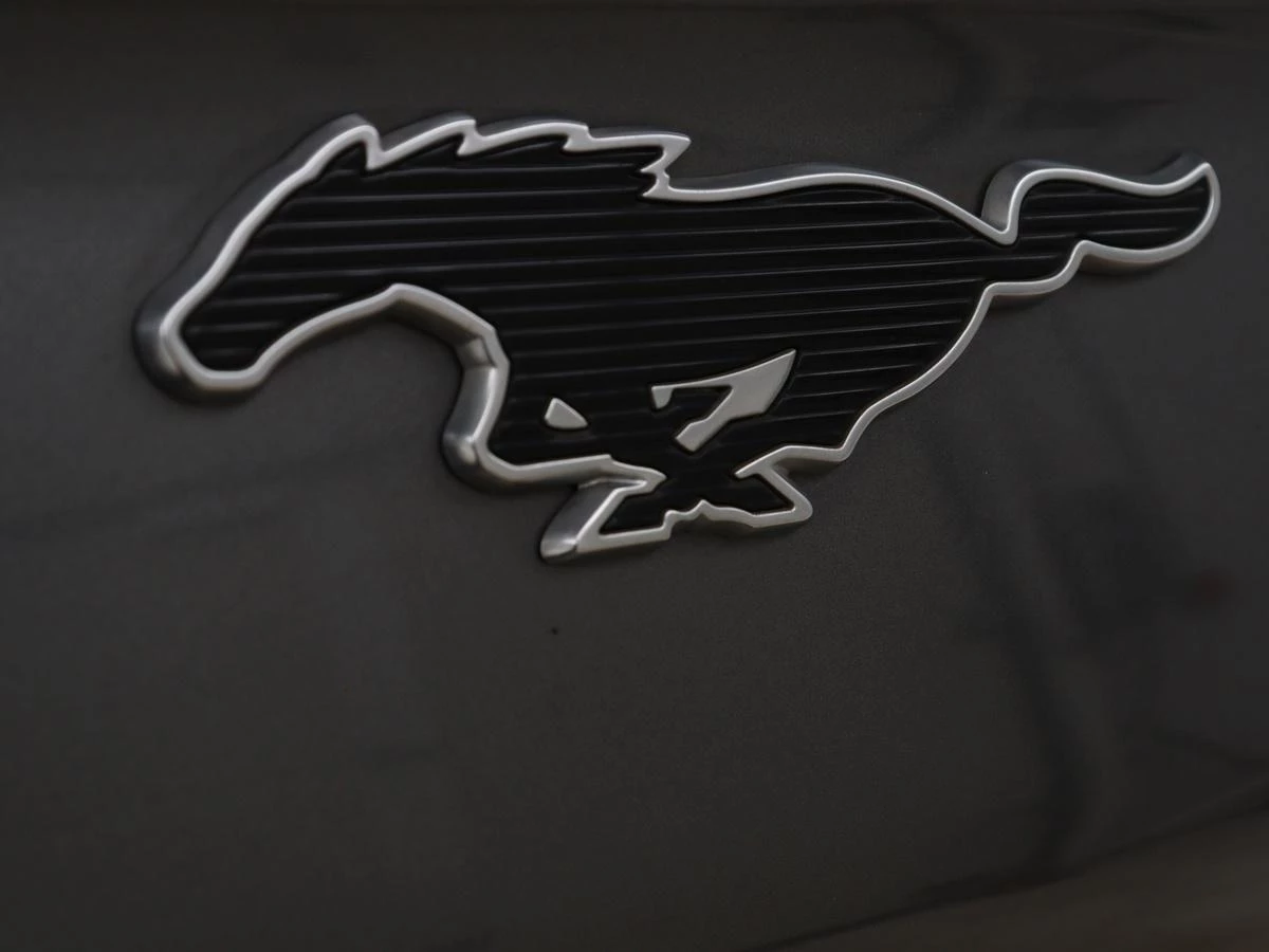 Hoofdafbeelding Ford Mustang Mach-E