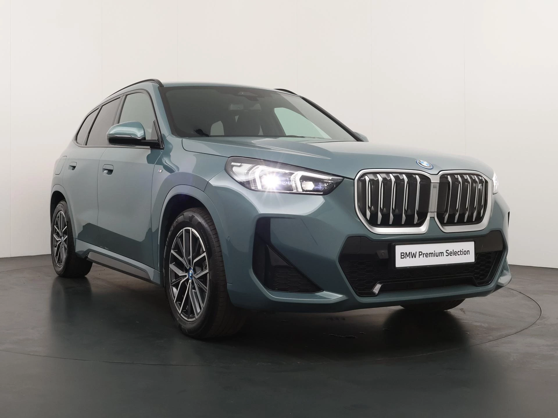 Hoofdafbeelding BMW iX1