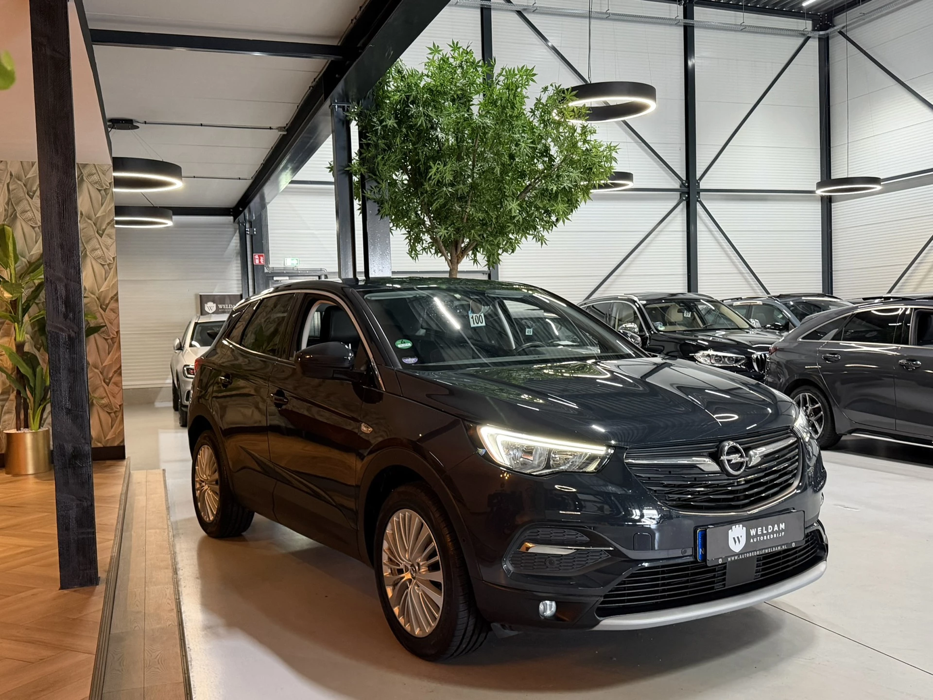 Hoofdafbeelding Opel Grandland X