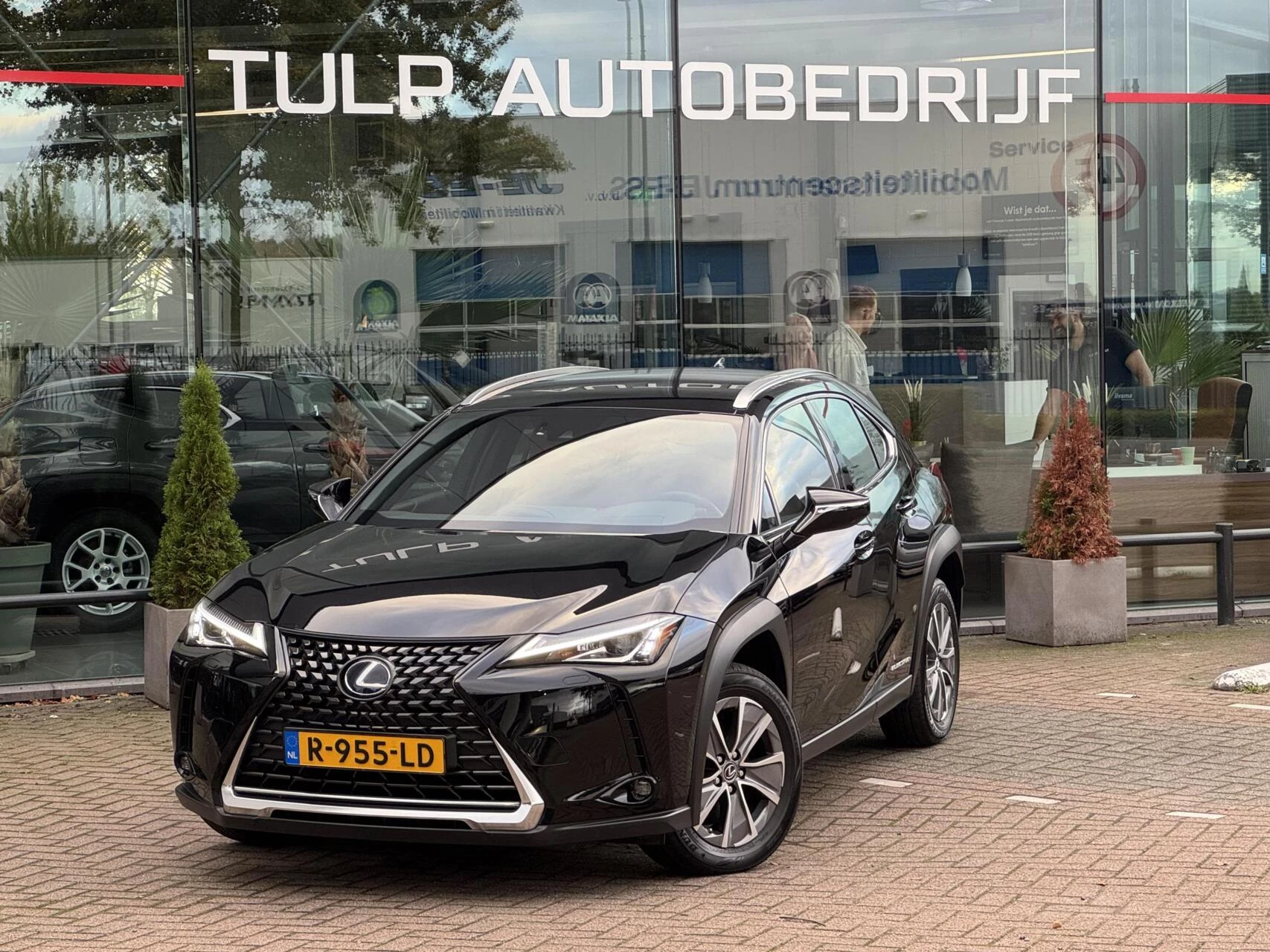 Hoofdafbeelding Lexus UX
