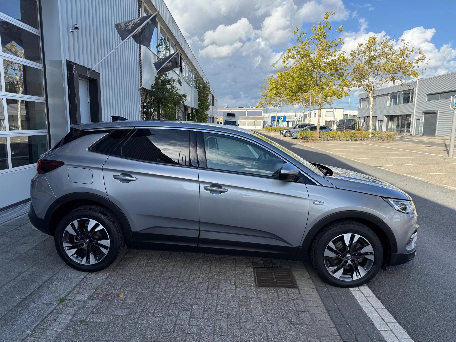 Hoofdafbeelding Opel Grandland X