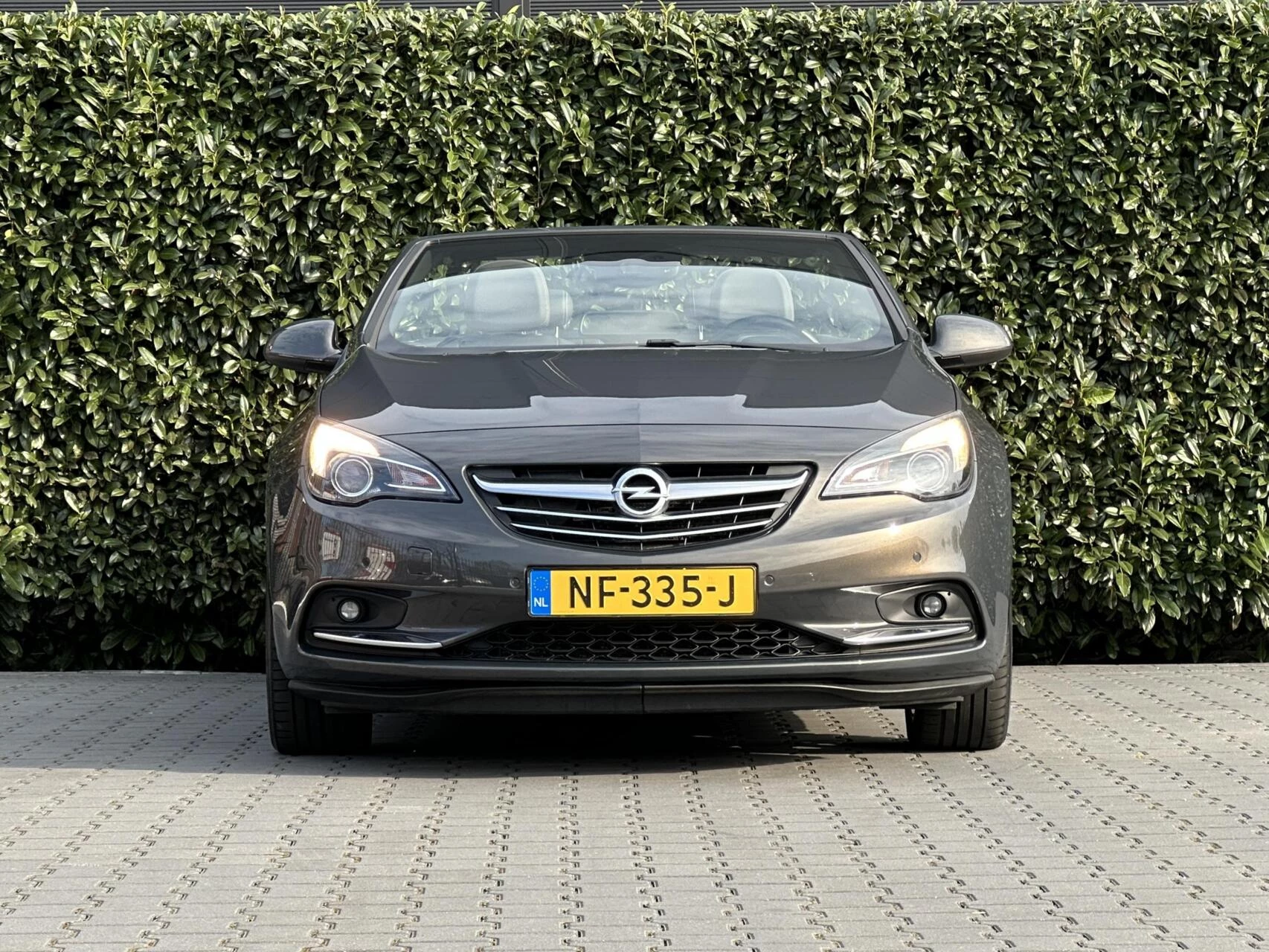 Hoofdafbeelding Opel Cascada