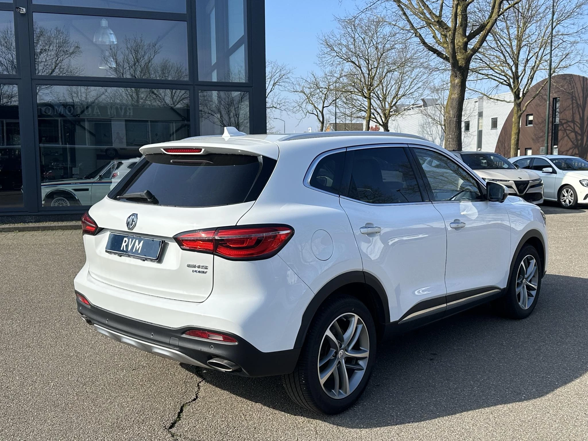 Hoofdafbeelding MG EHS