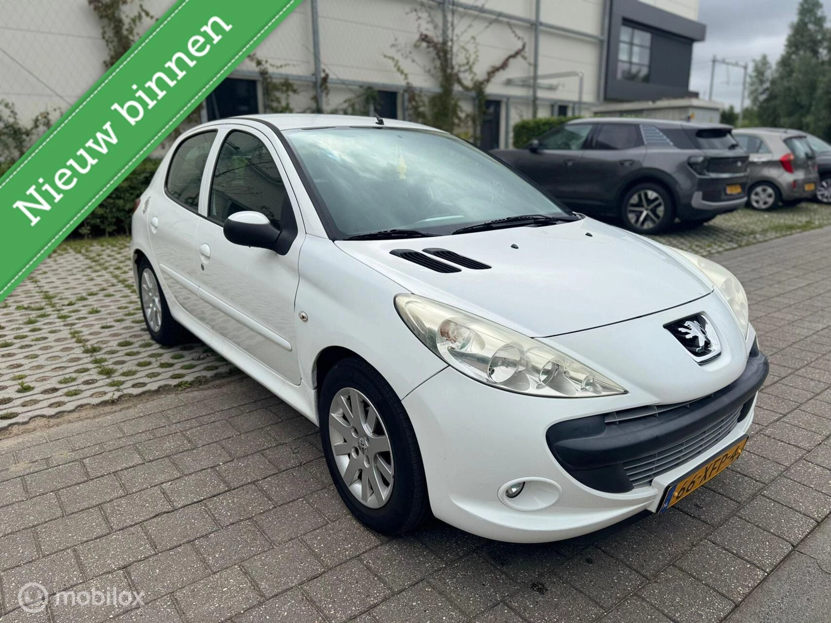 Hoofdafbeelding Peugeot 206