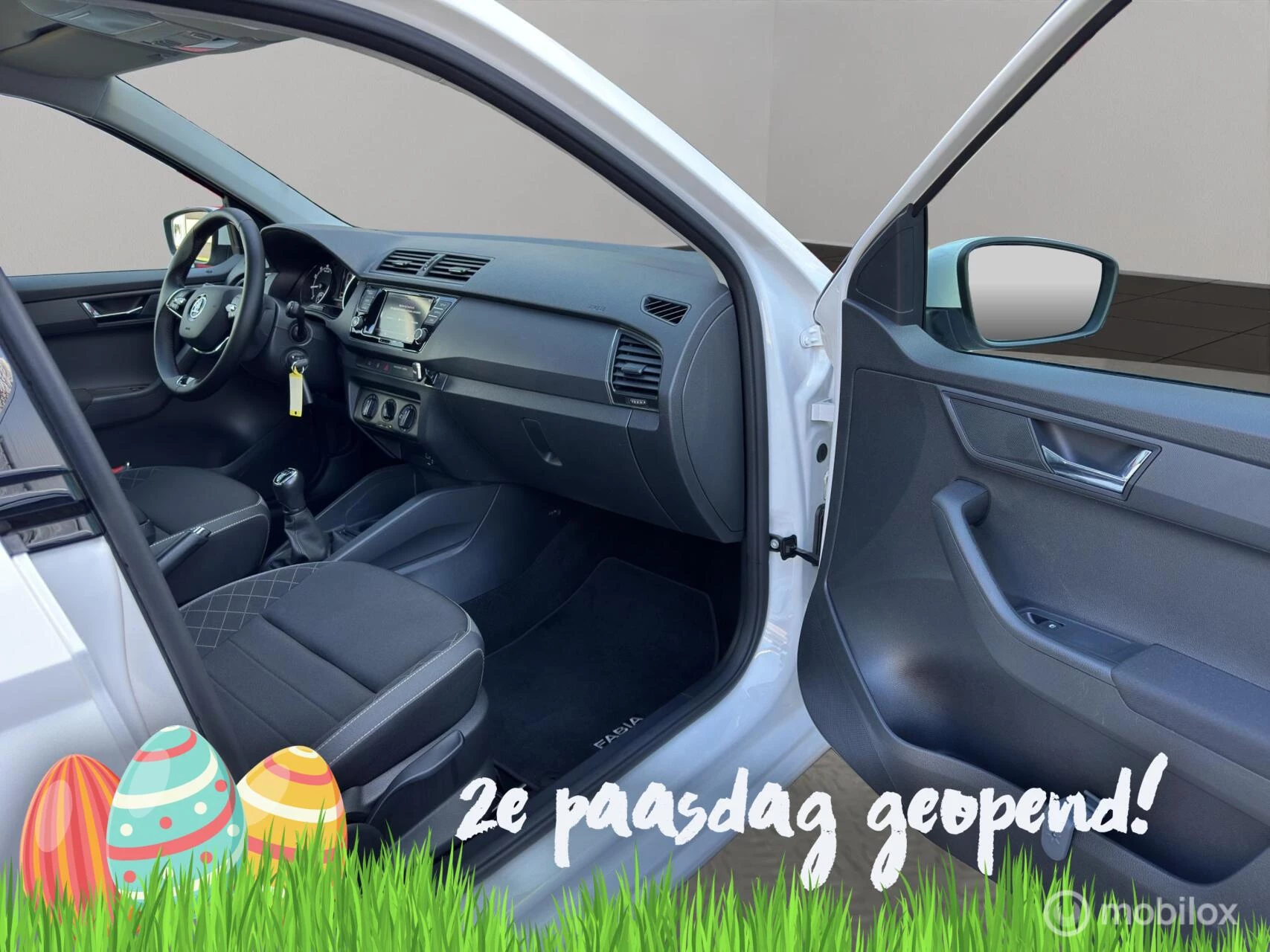 Hoofdafbeelding Škoda Fabia