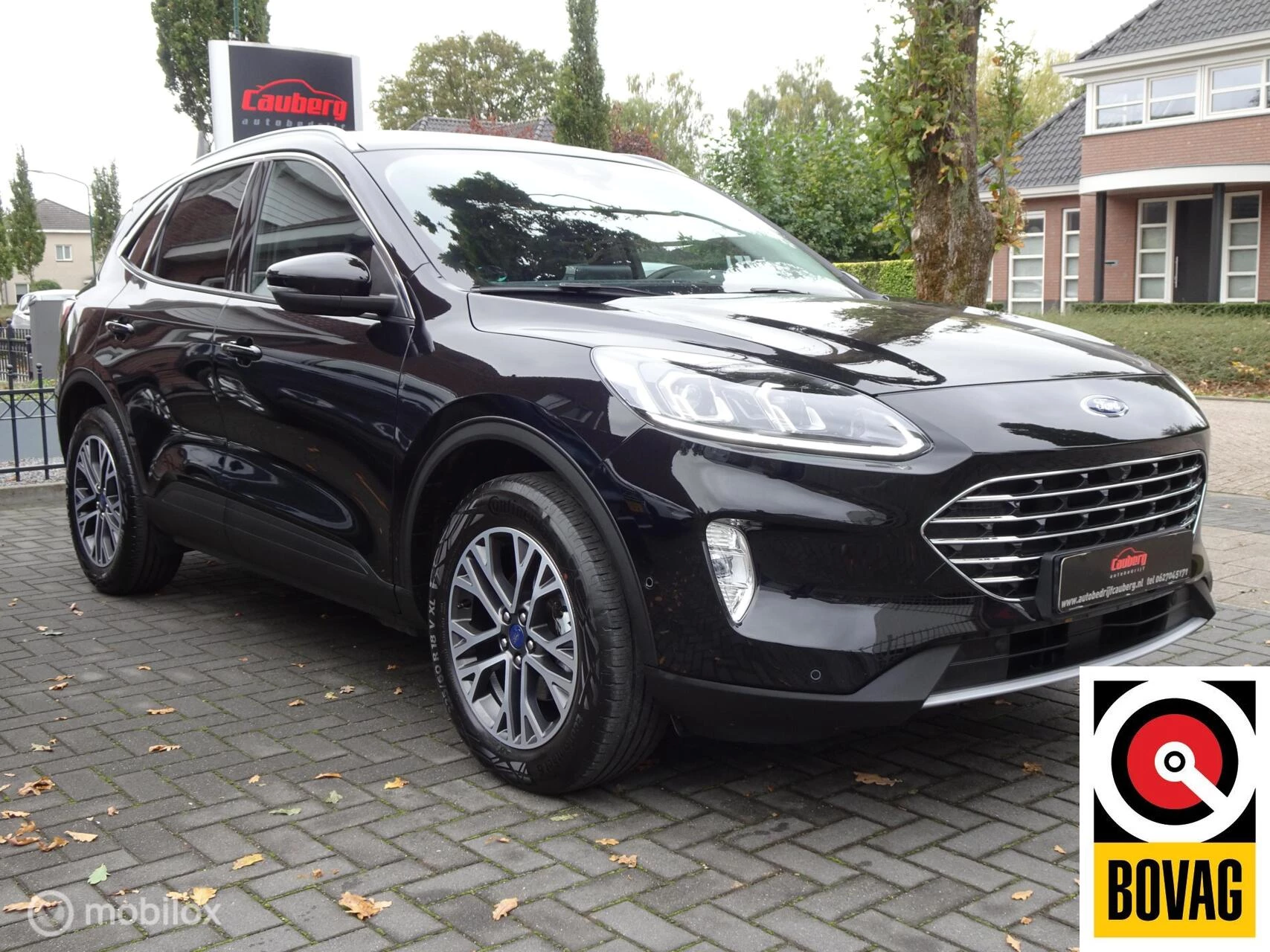 Hoofdafbeelding Ford Kuga