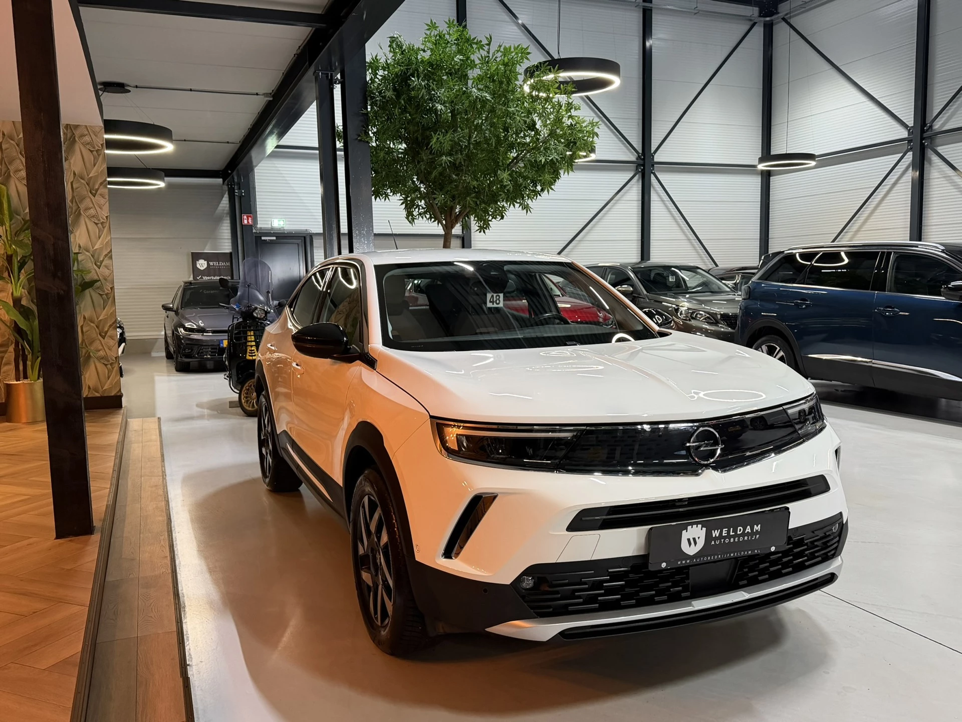 Hoofdafbeelding Opel Mokka