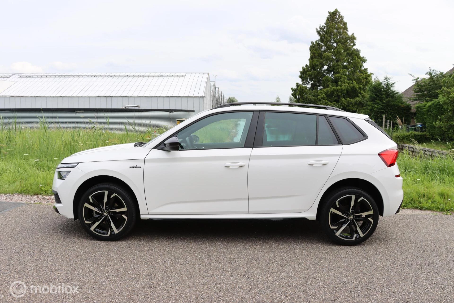 Hoofdafbeelding Škoda Kamiq
